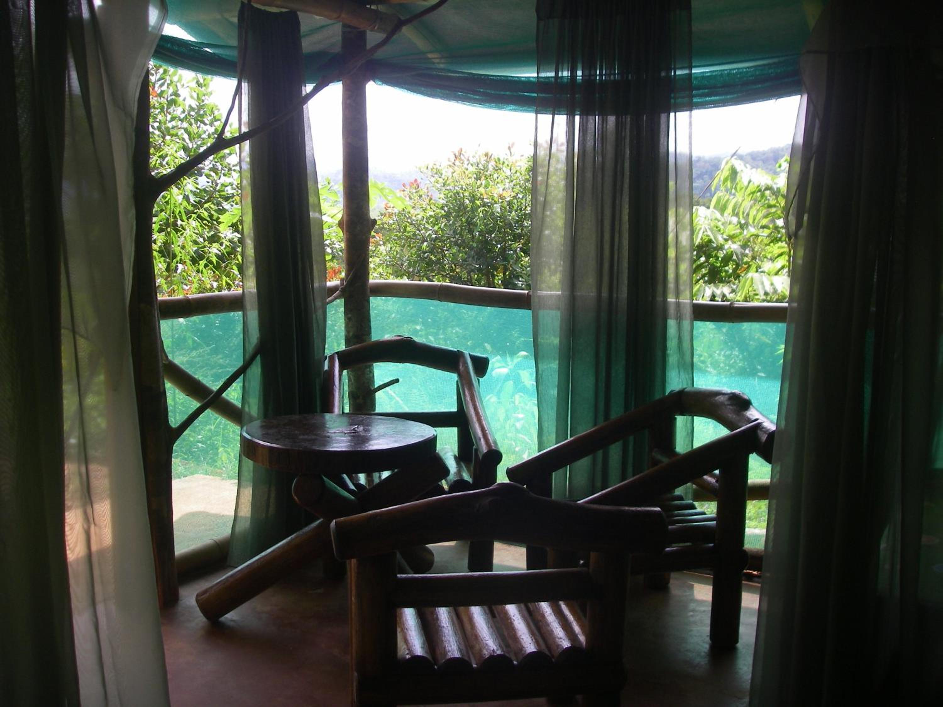 Isla Violin Eco-Lodge