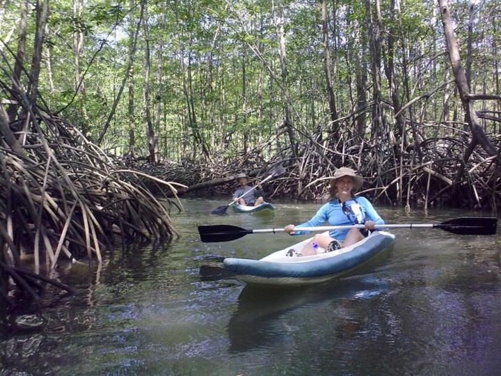 Isla Violin Eco-Lodge
