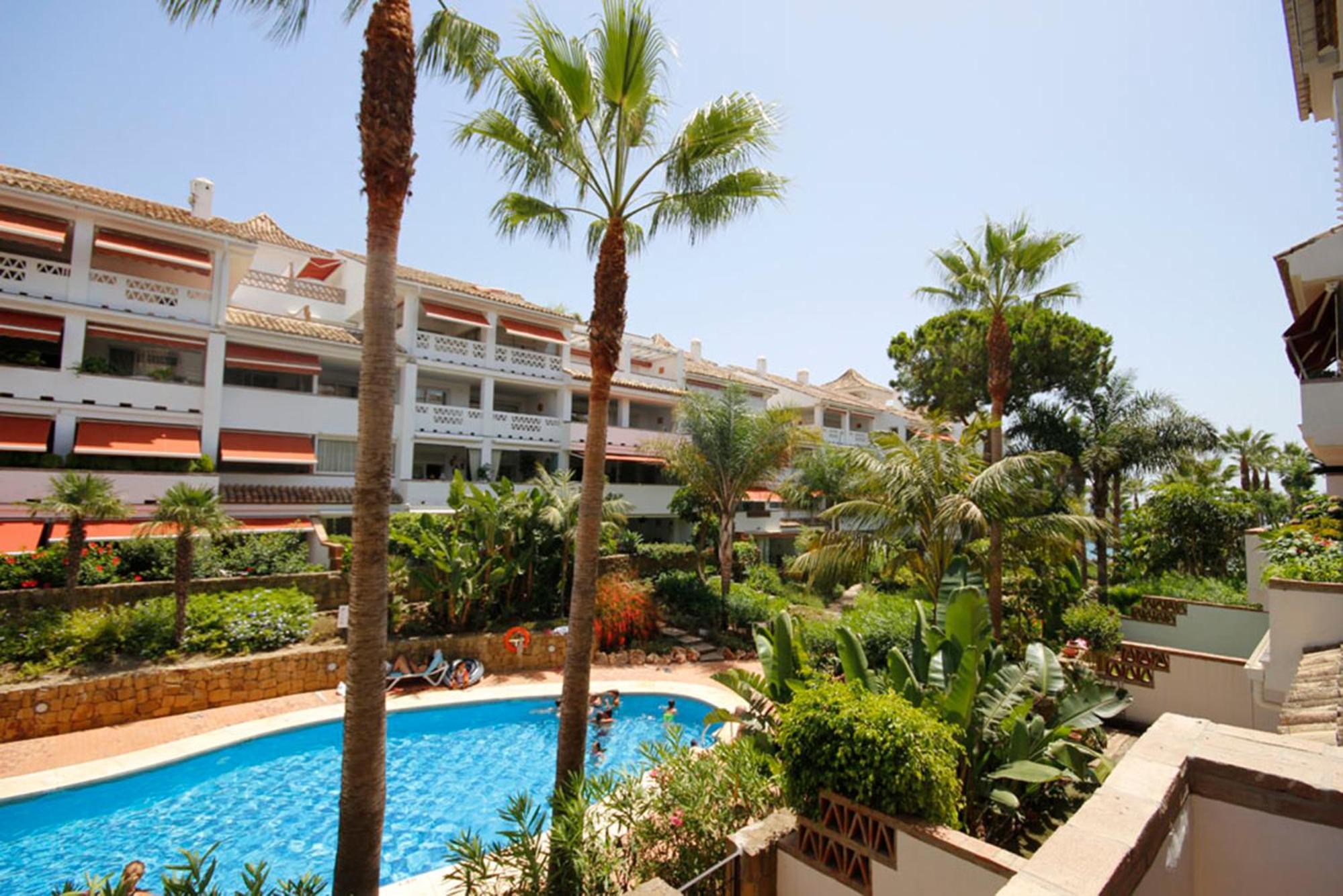 2026 Las Canas Beach view 3