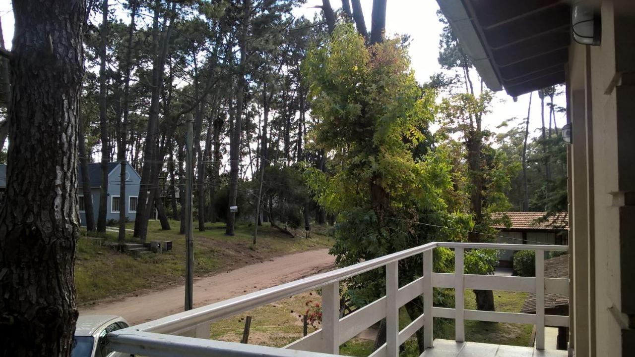 Los Amigos del Pinar