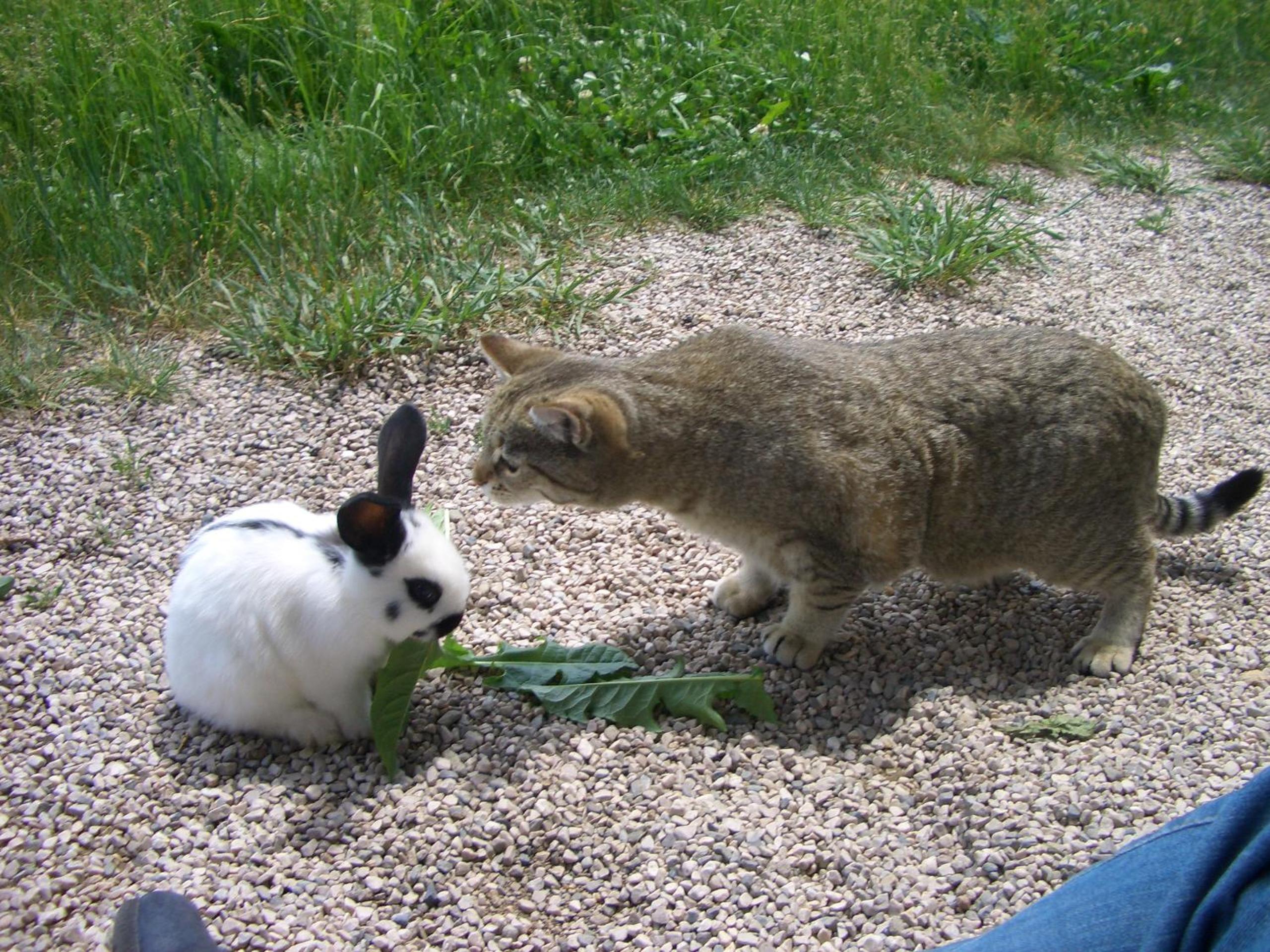 Photo 40