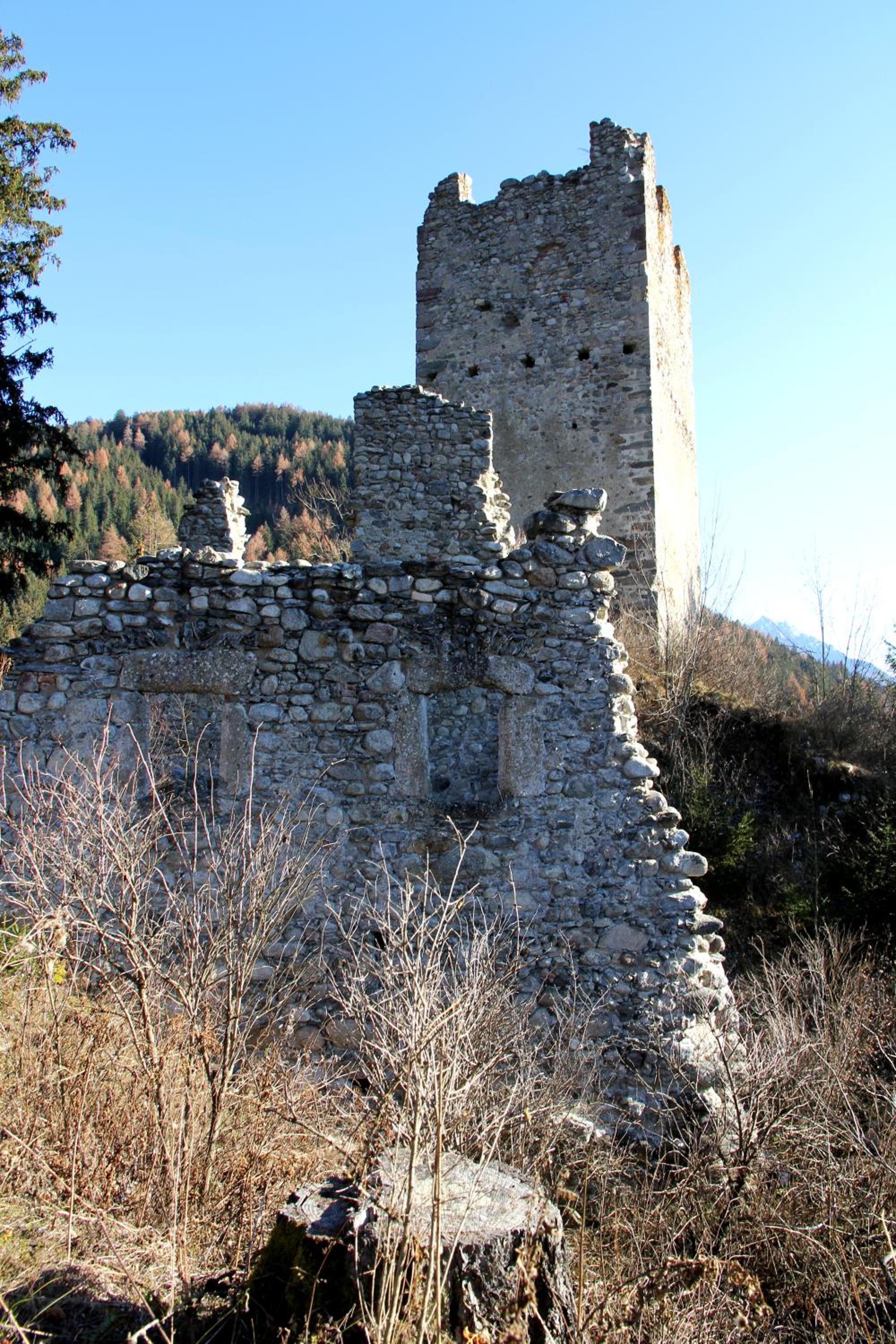 Photo 46