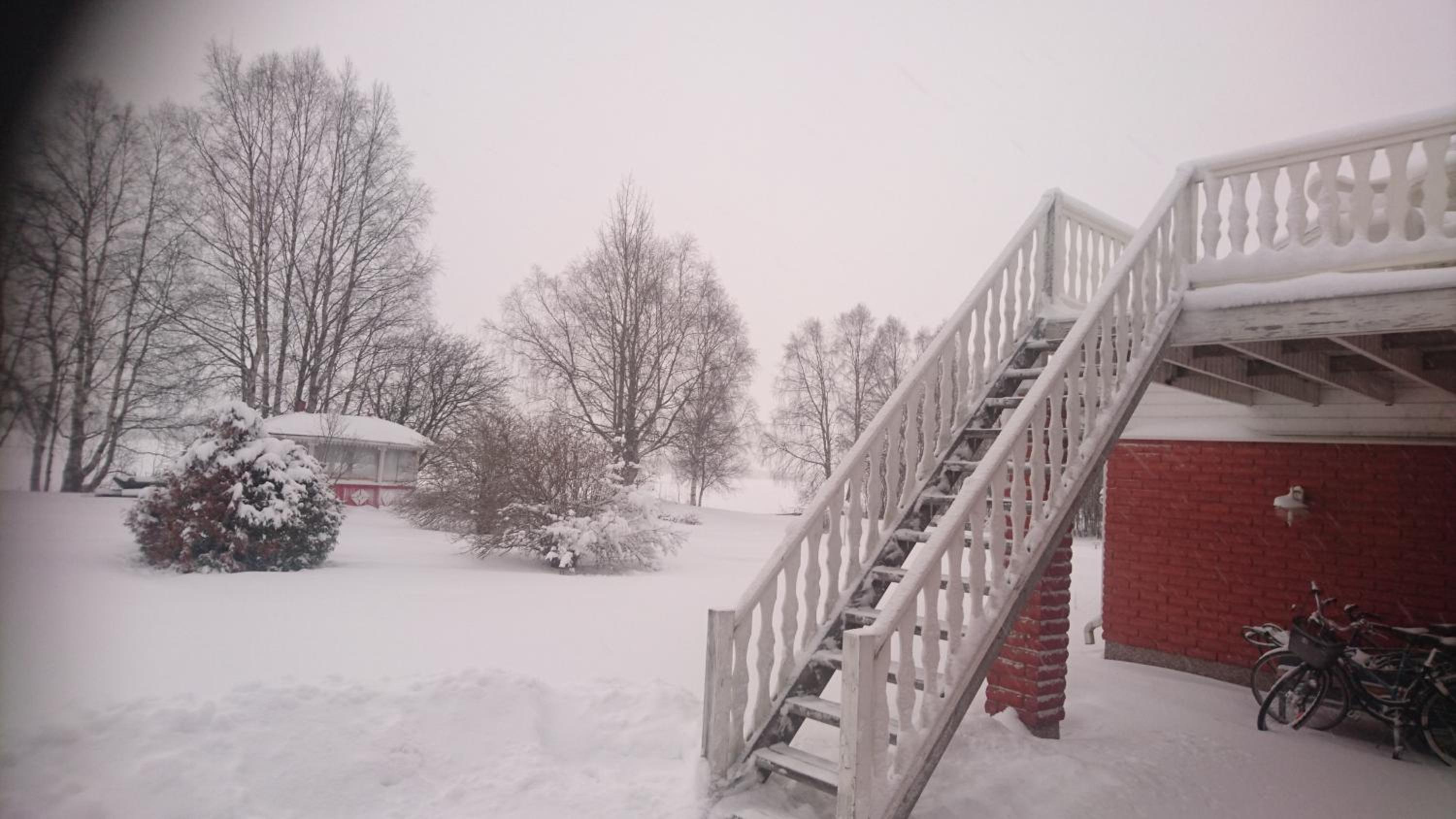 Photo 49