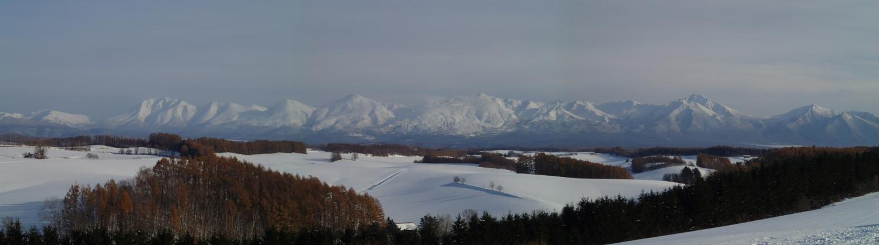 Photo 44