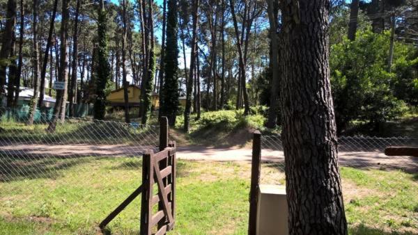 Los Amigos del Pinar
