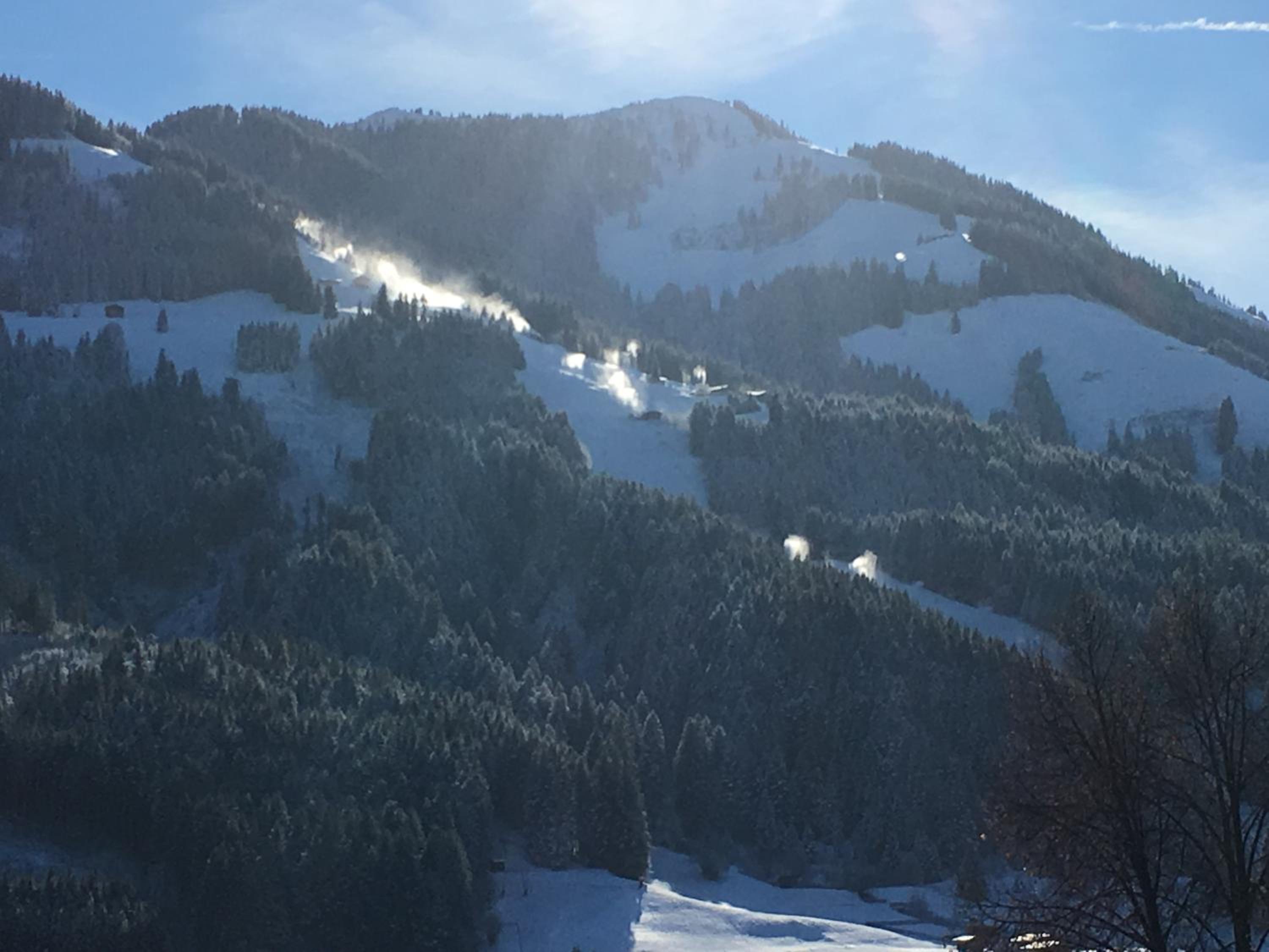 Chalet Christine