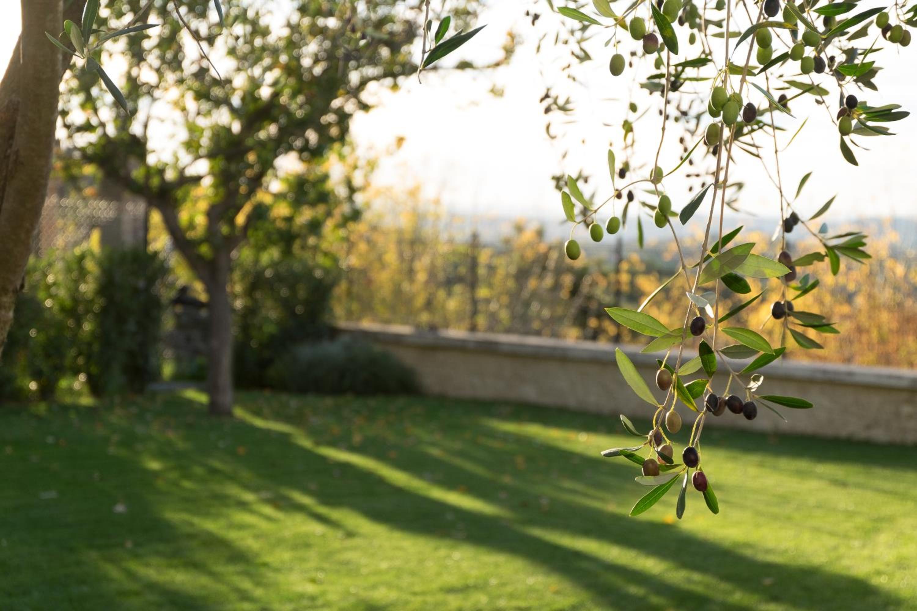 La Rocca Guest House & Spa