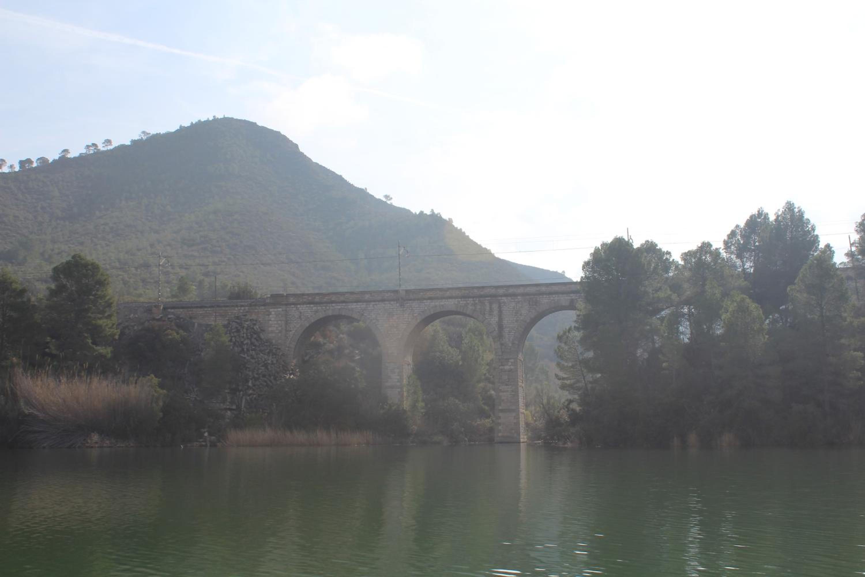 Camping Fayón Fishing