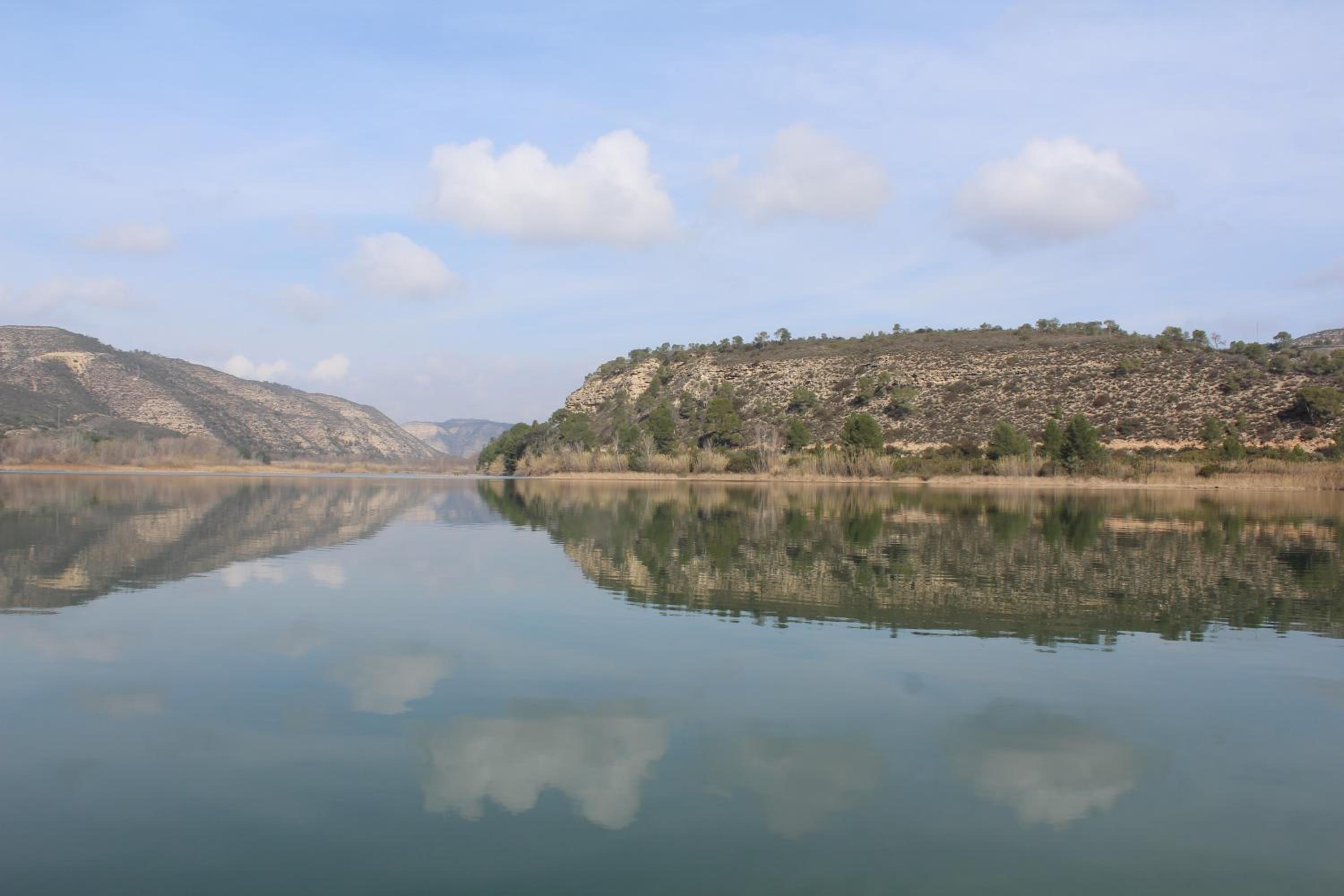 Camping Fayón Fishing