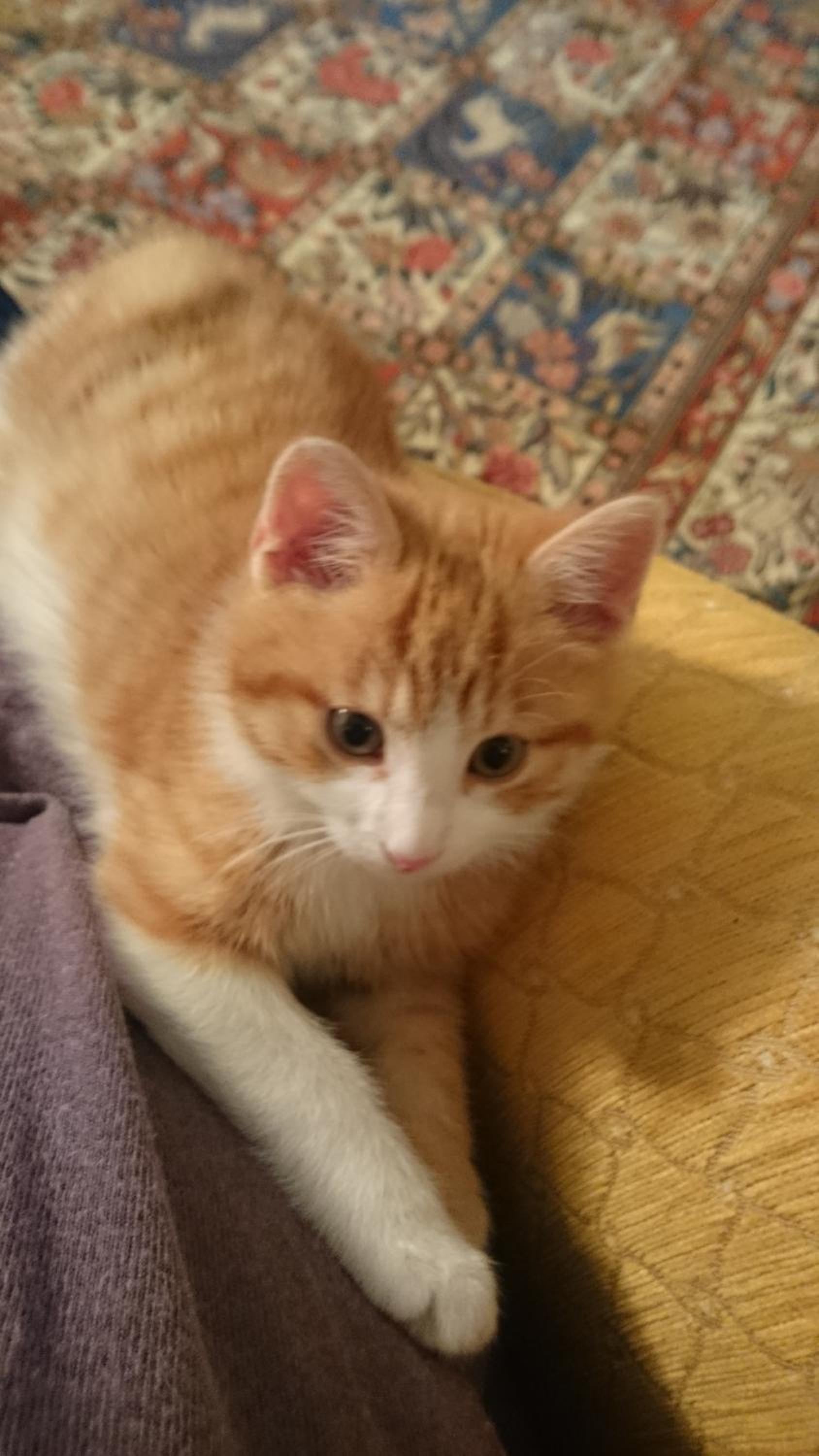 Appartementhaus Tristenau
