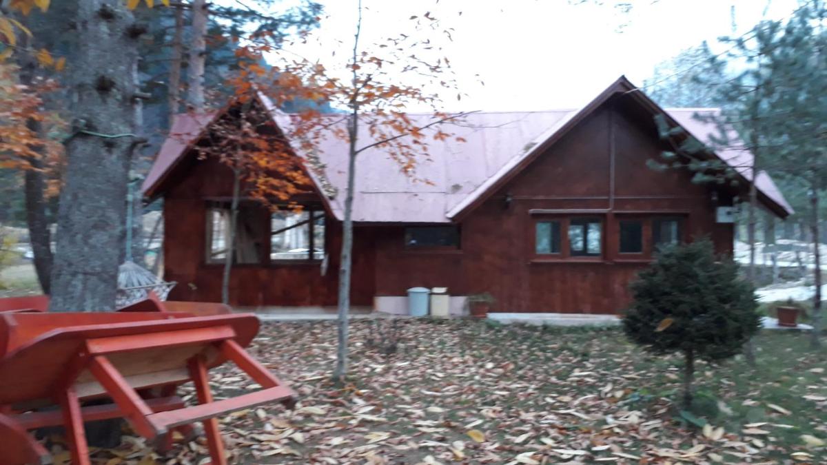 Photo 25