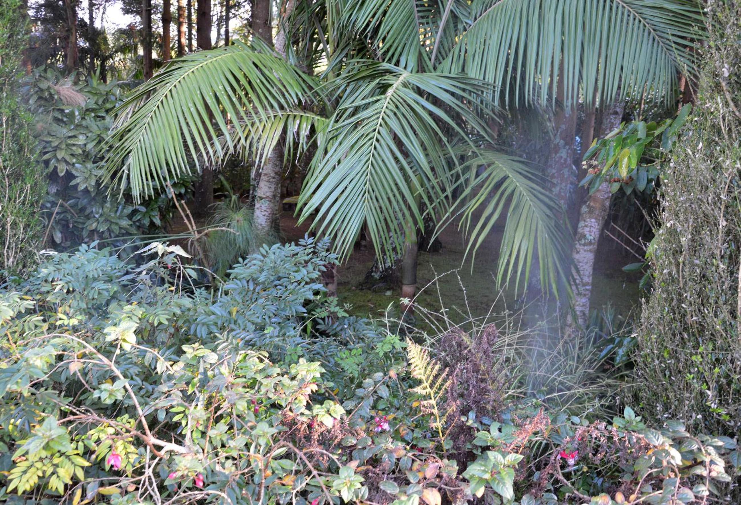 Photo 49