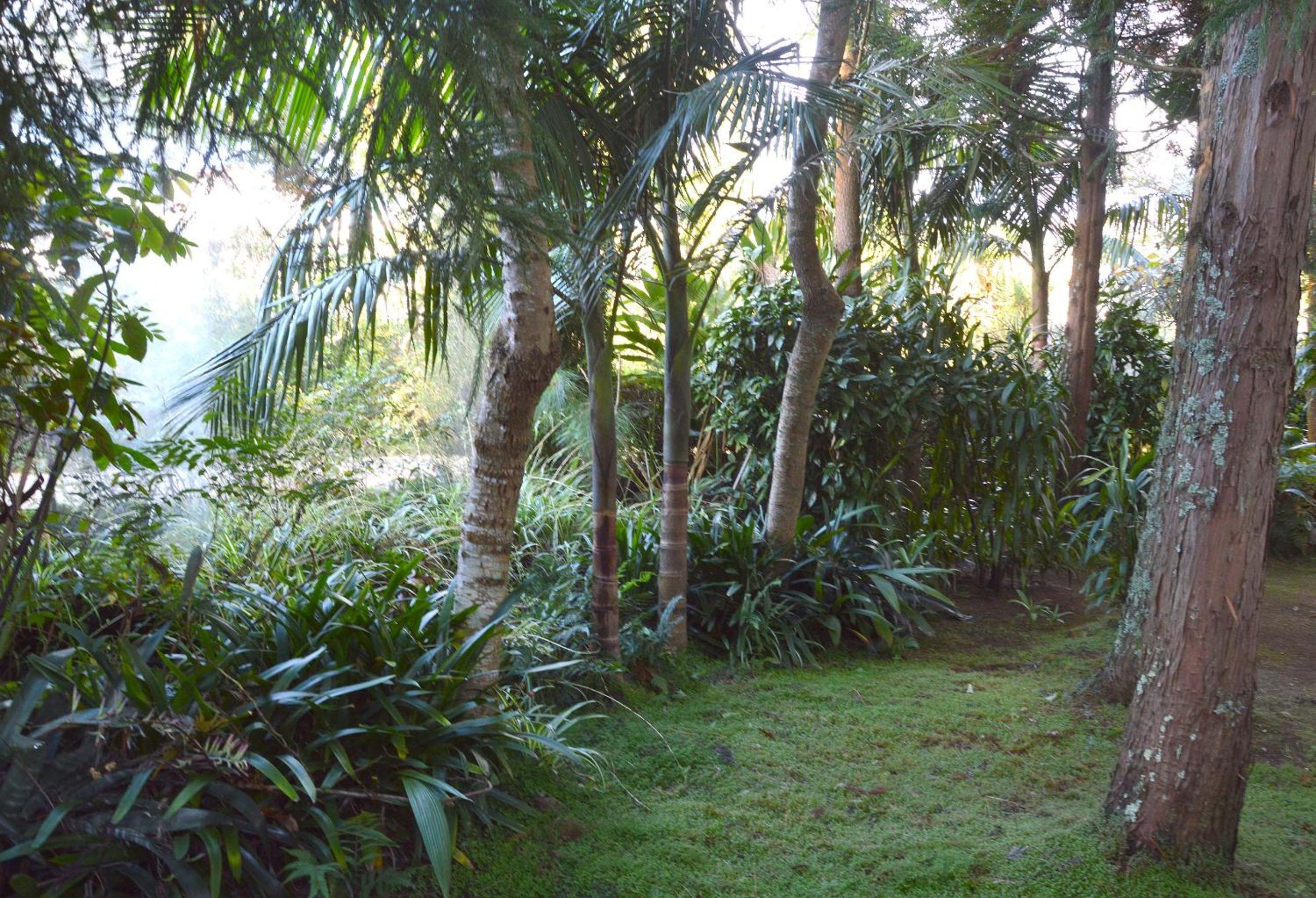 Photo 44