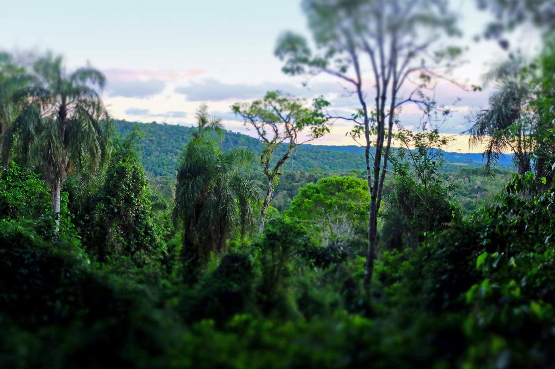 Chacra del Agua Reserva Privada