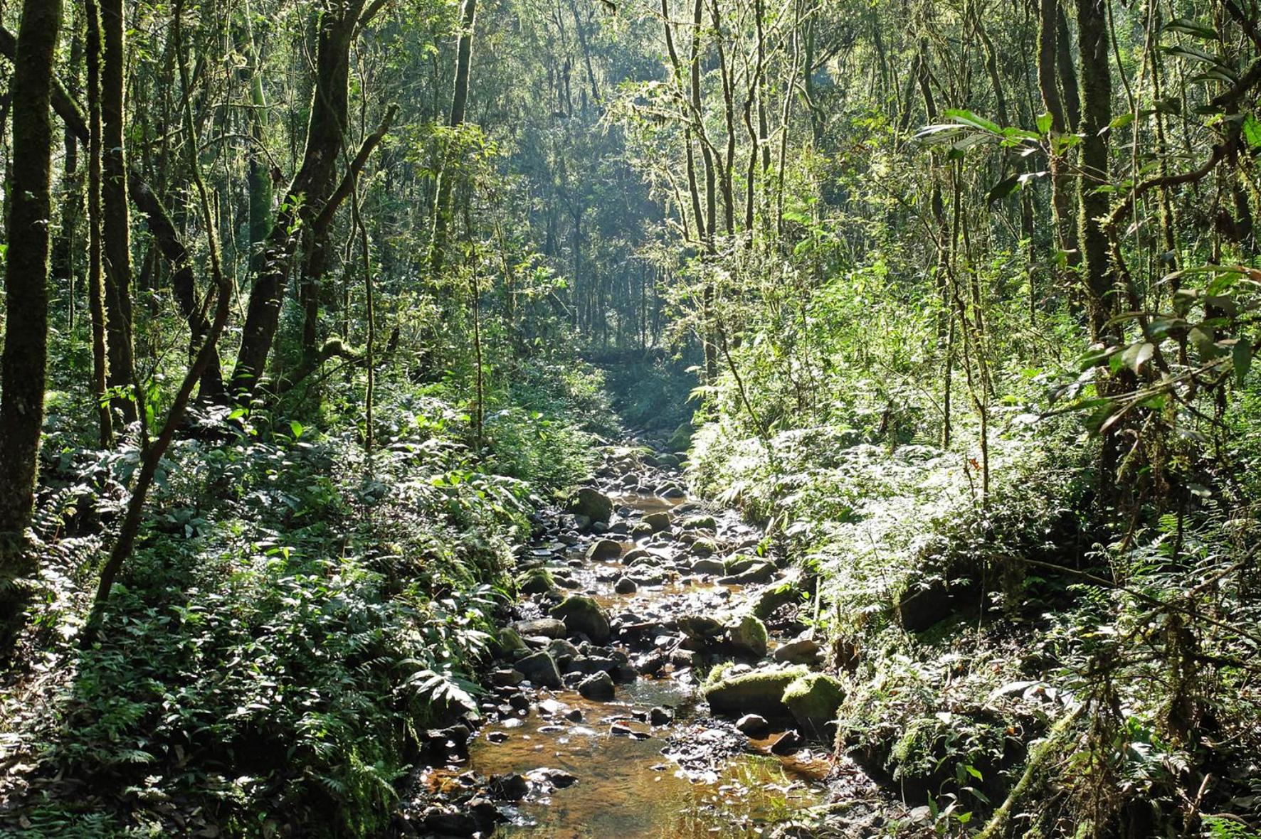 Chacra del Agua Reserva Privada