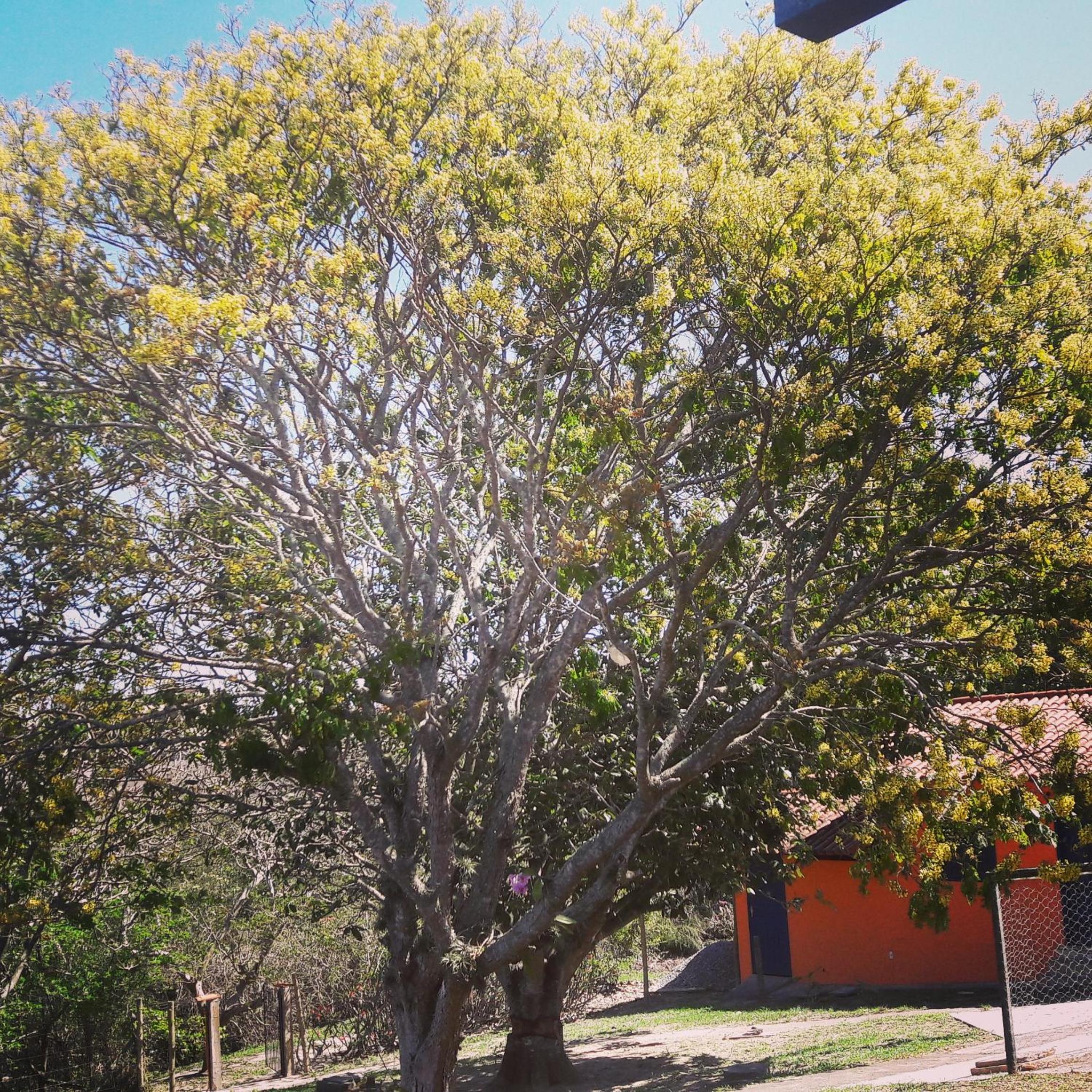 Studios Verdes hospedagens