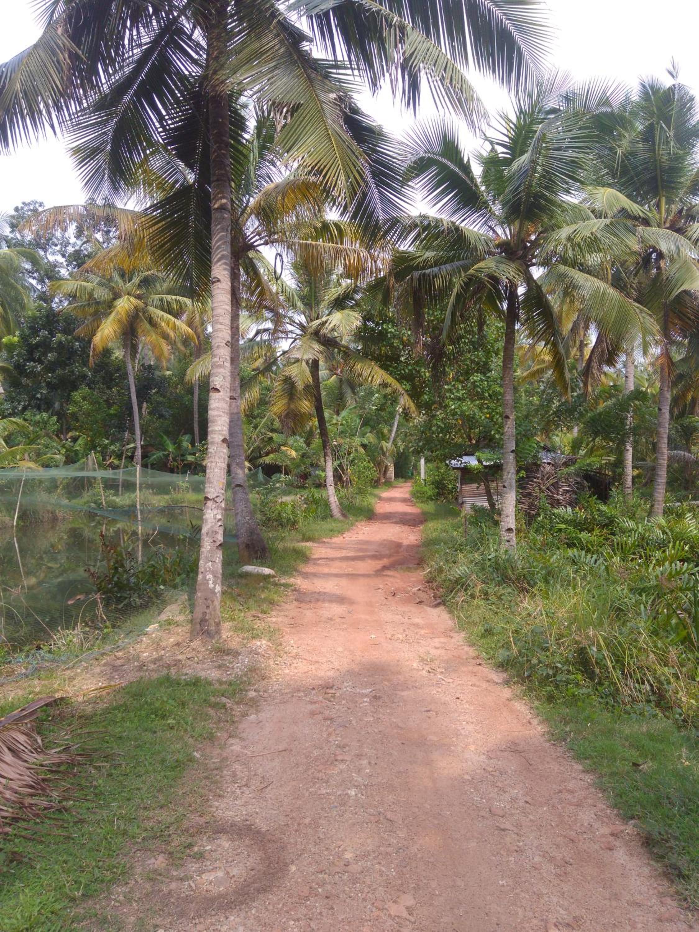 Photo 46