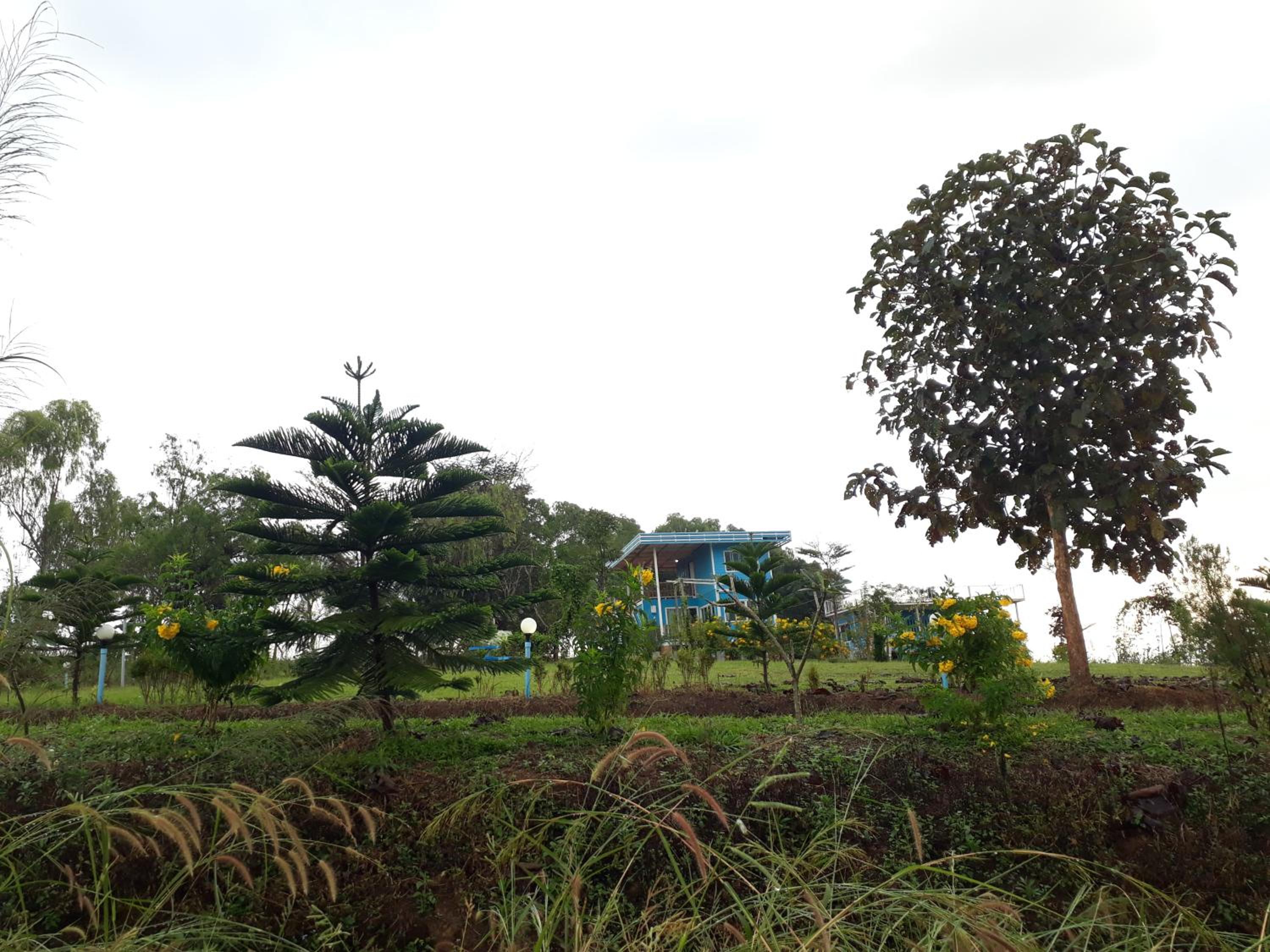 Photo 47