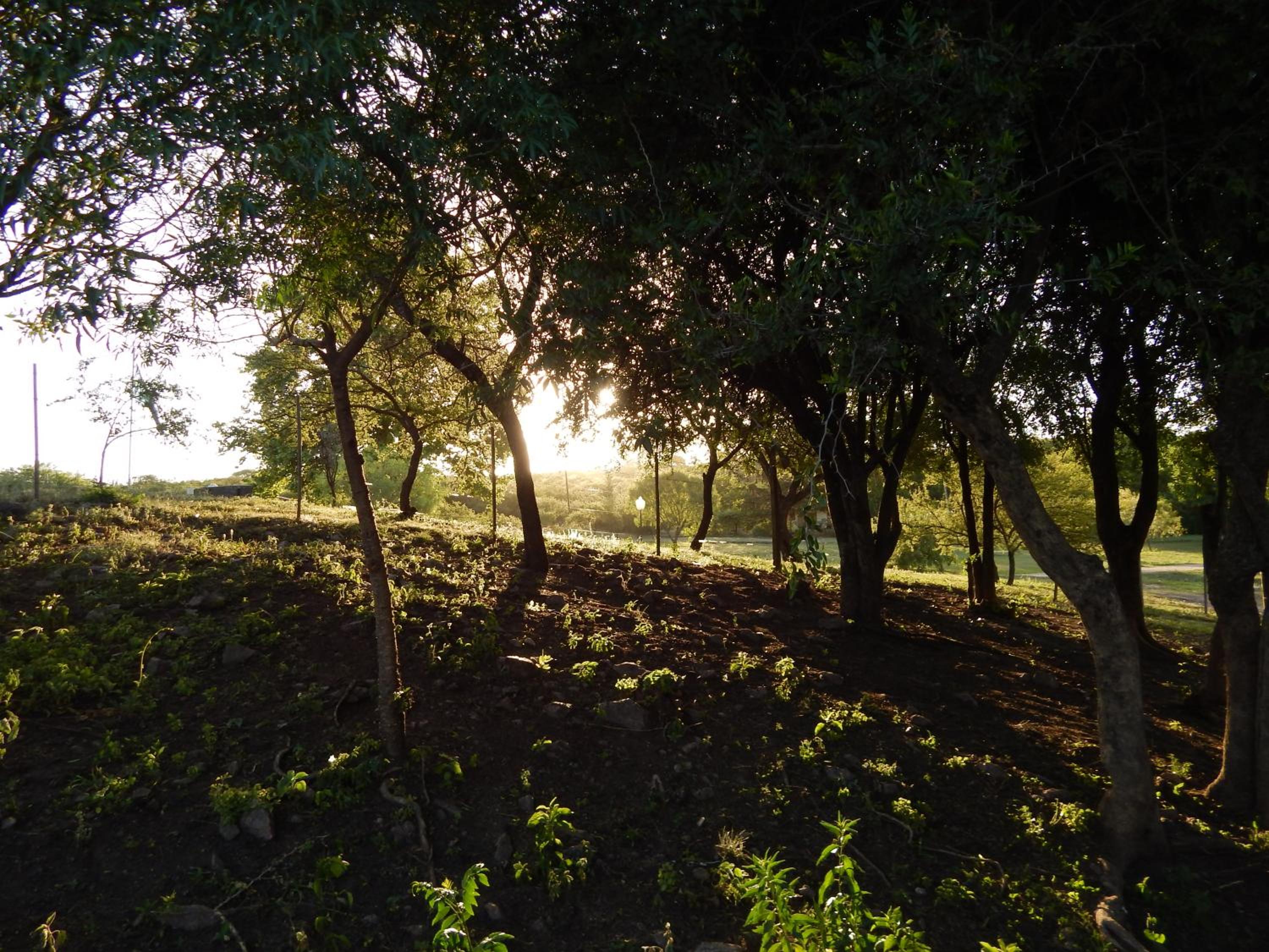 other