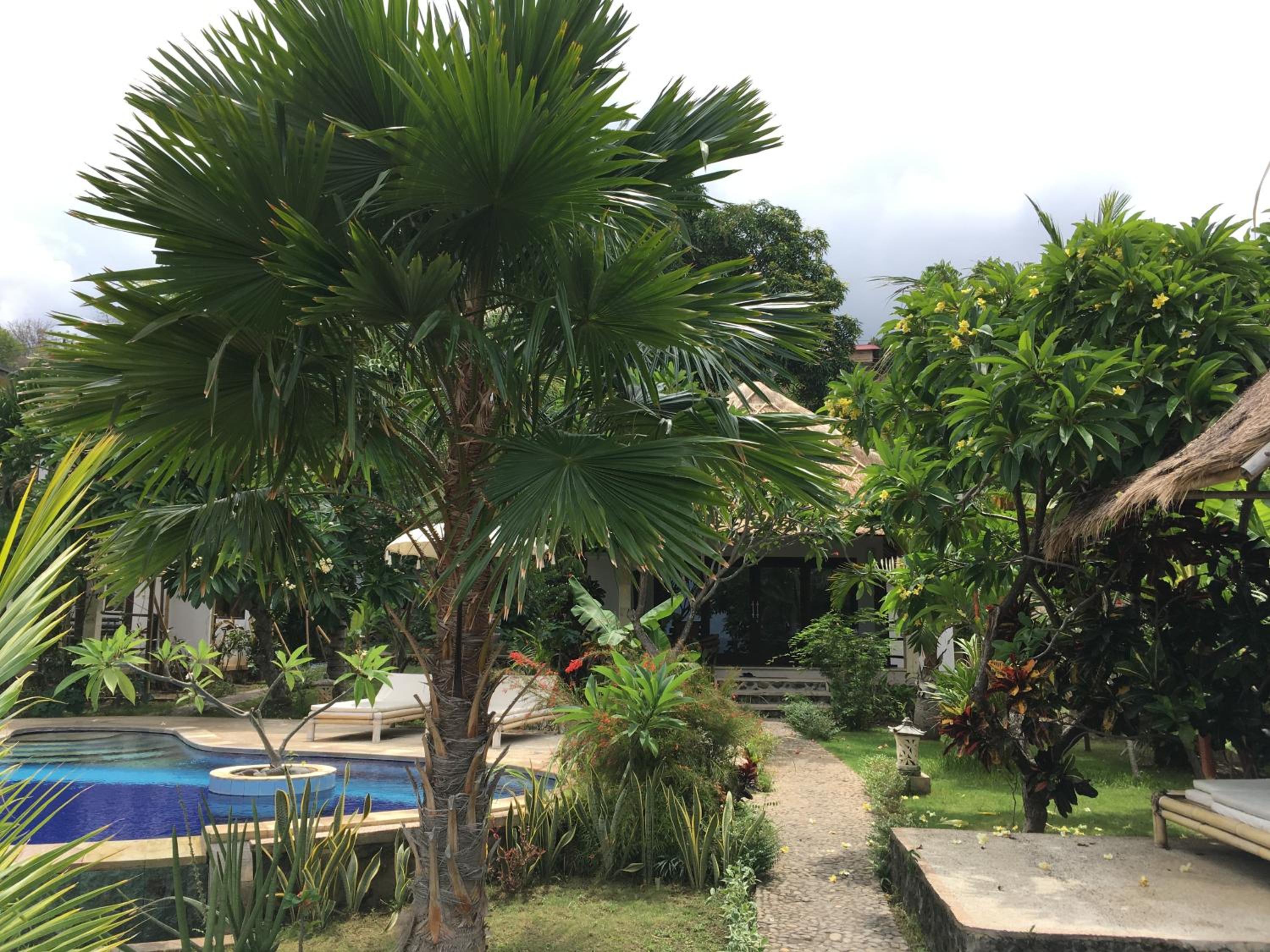 Bali Dream House view 4