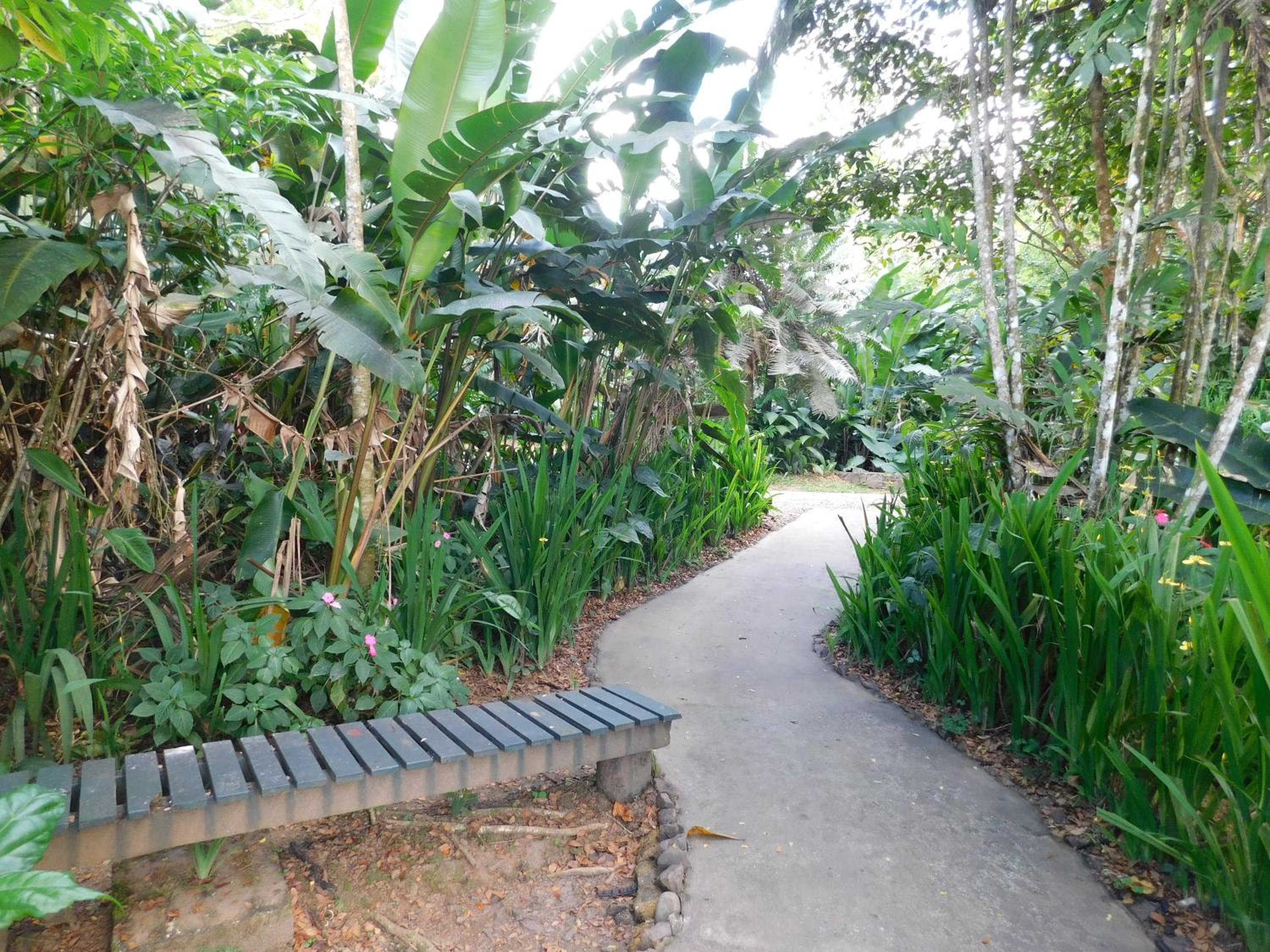 Rainforest Eco Lodge