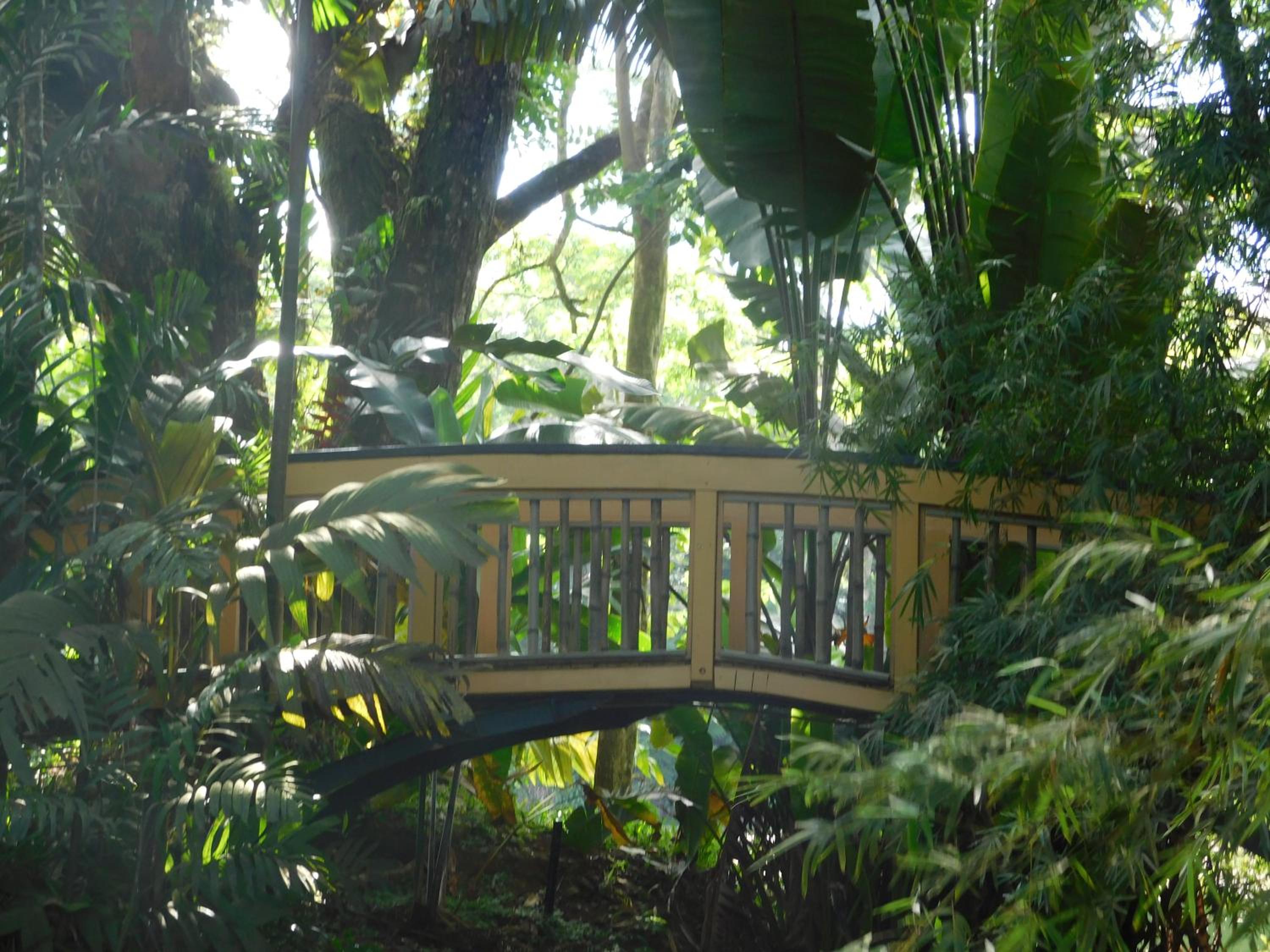 Rainforest Eco Lodge