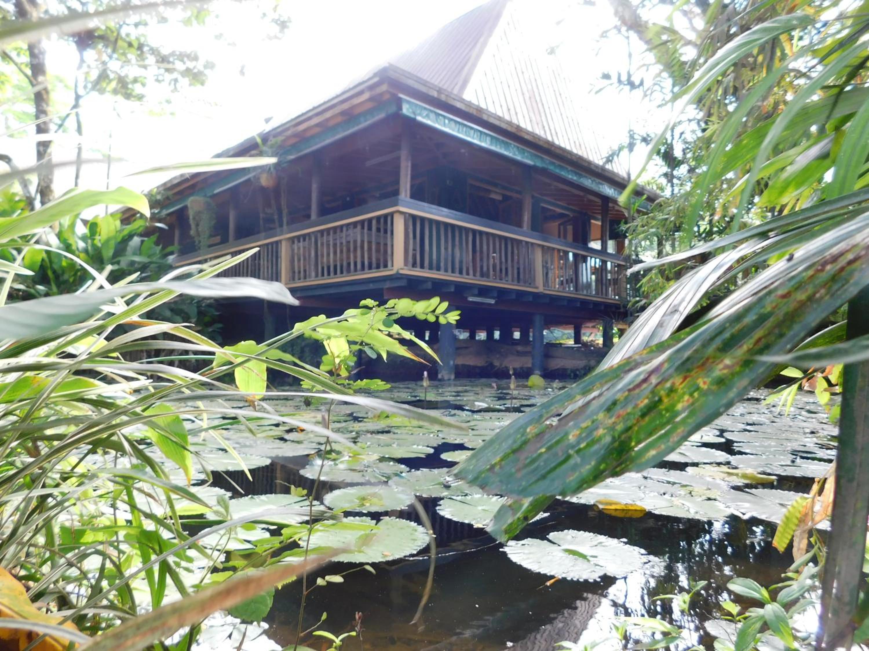 Rainforest Eco Lodge