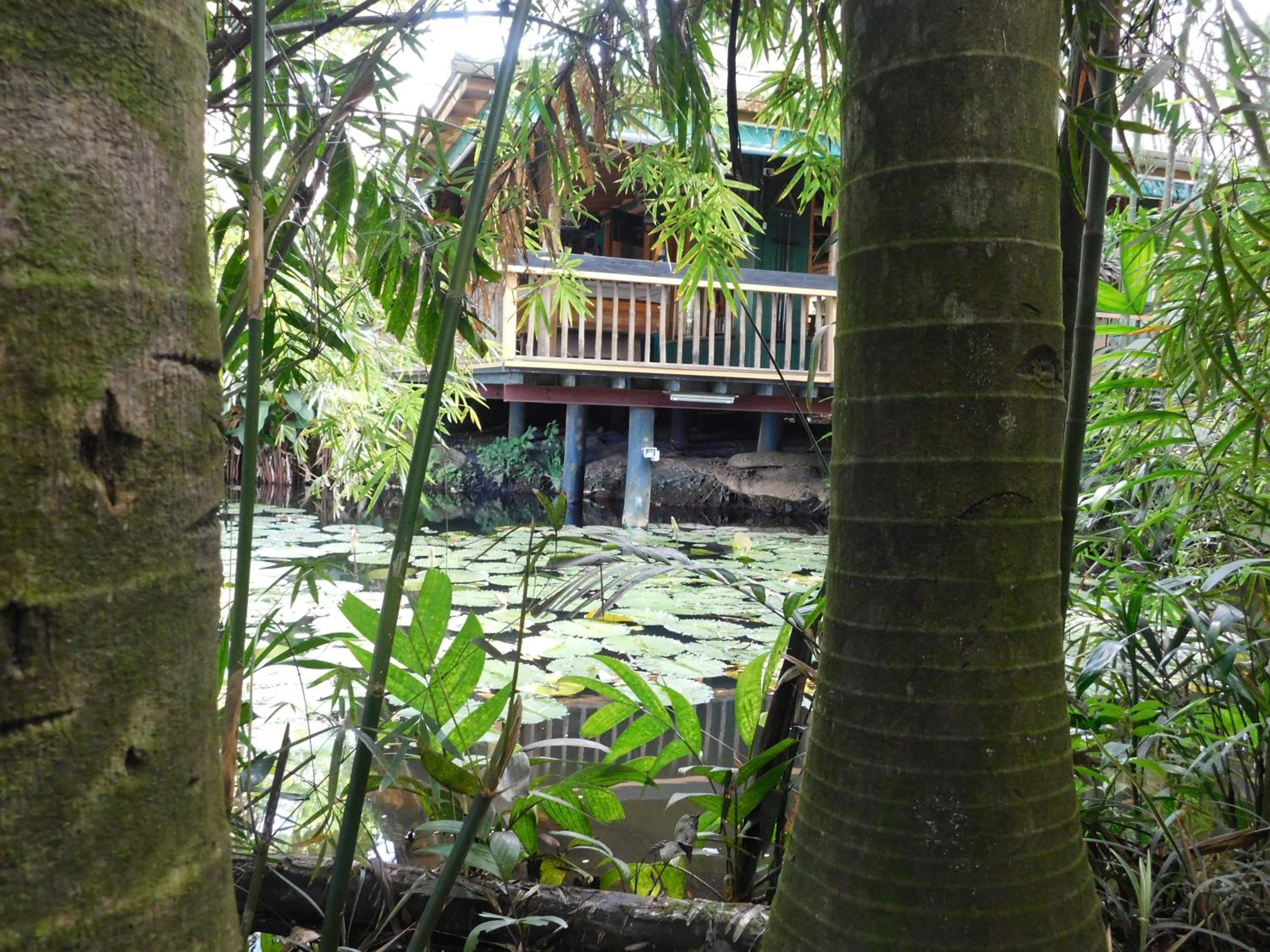 Rainforest Eco Lodge