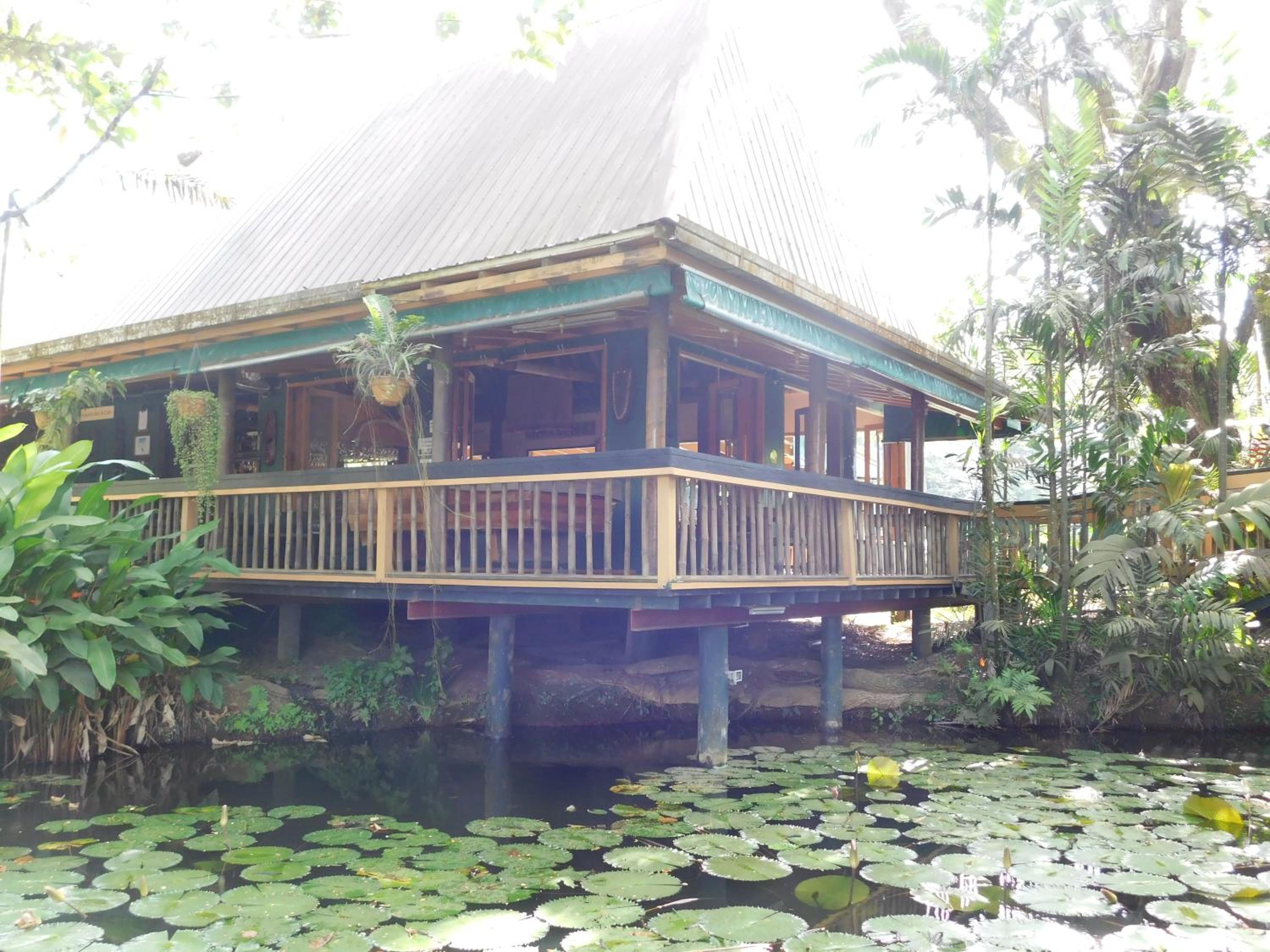 Rainforest Eco Lodge
