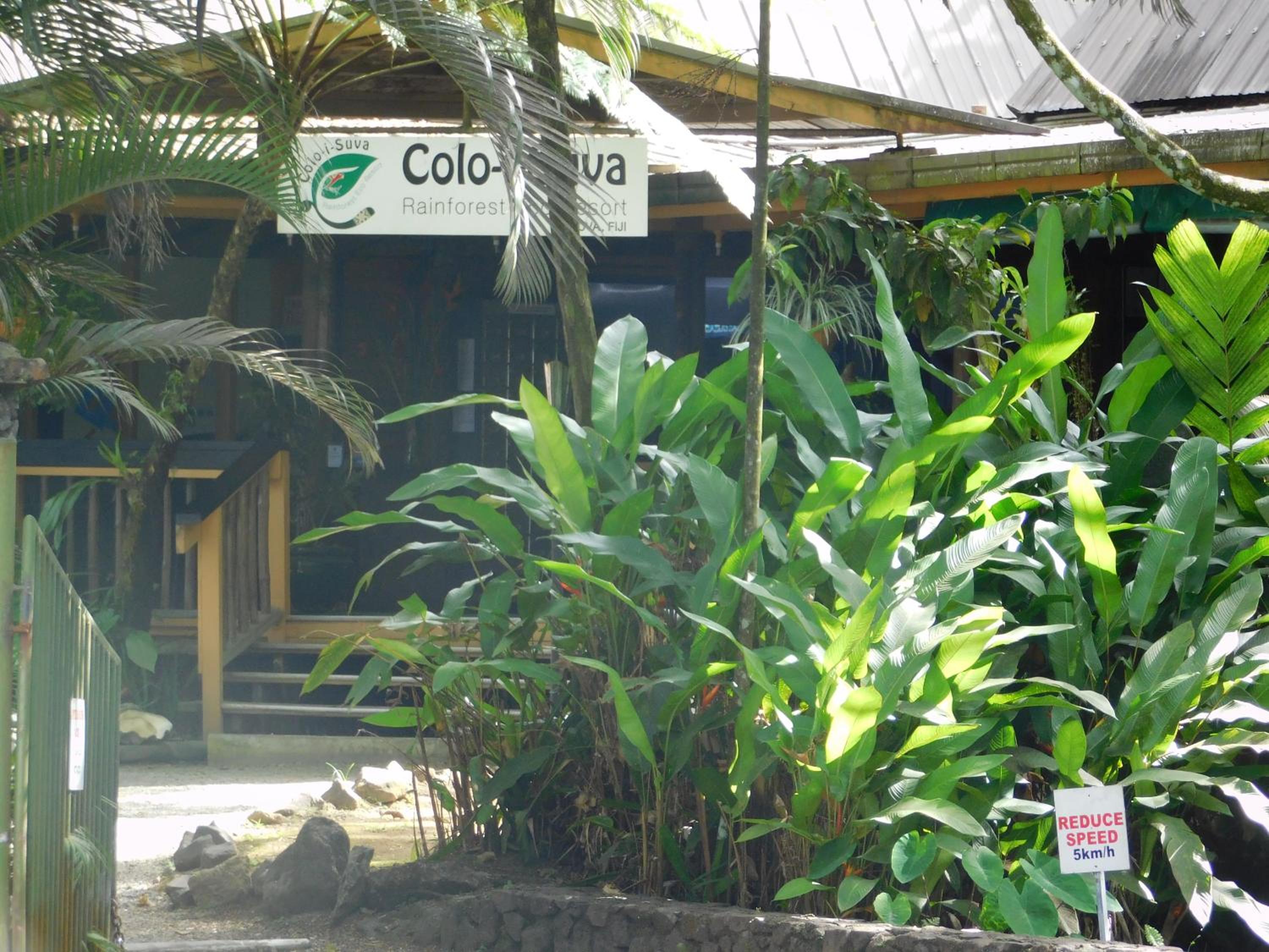 Rainforest Eco Lodge