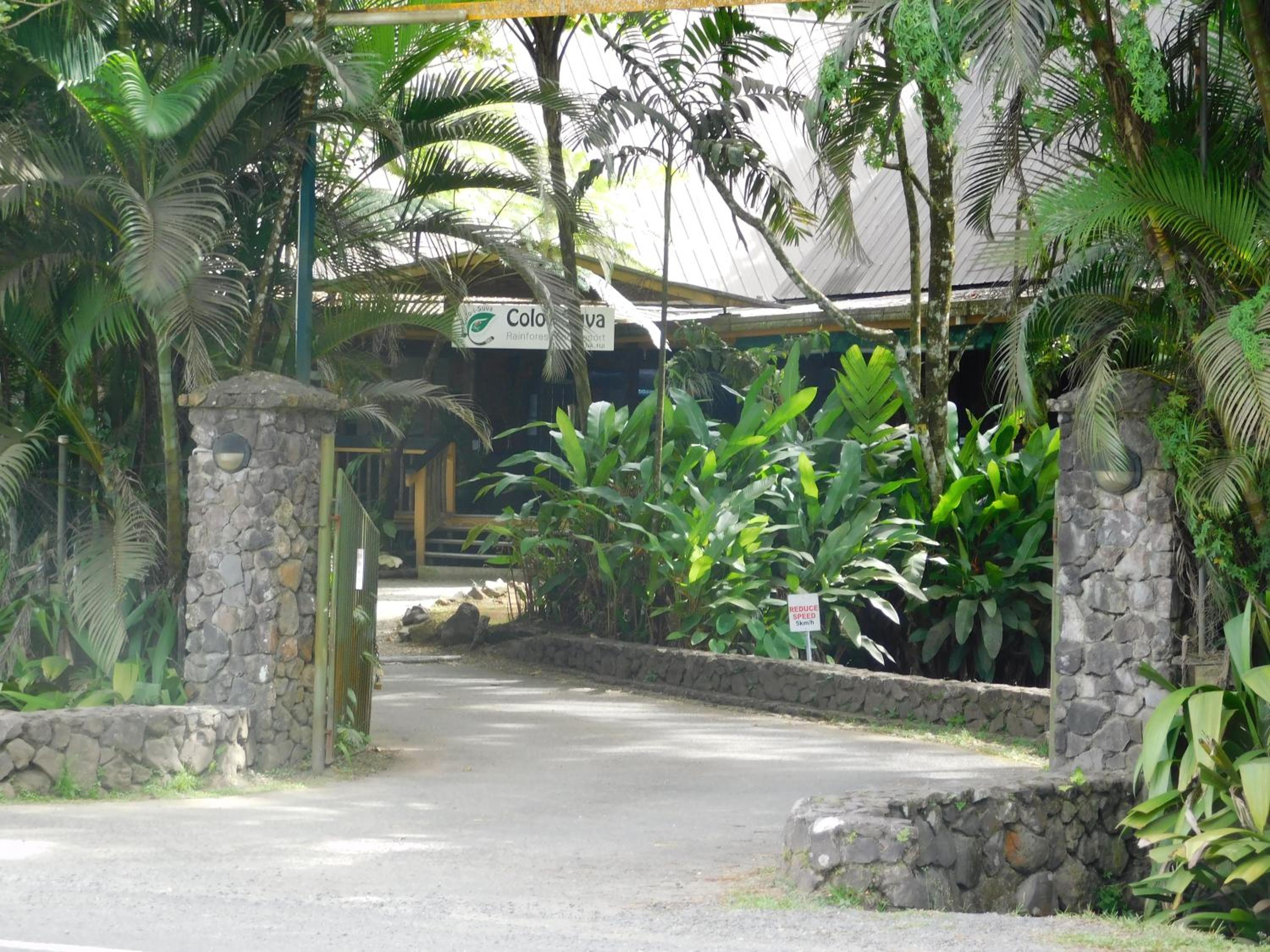 Rainforest Eco Lodge