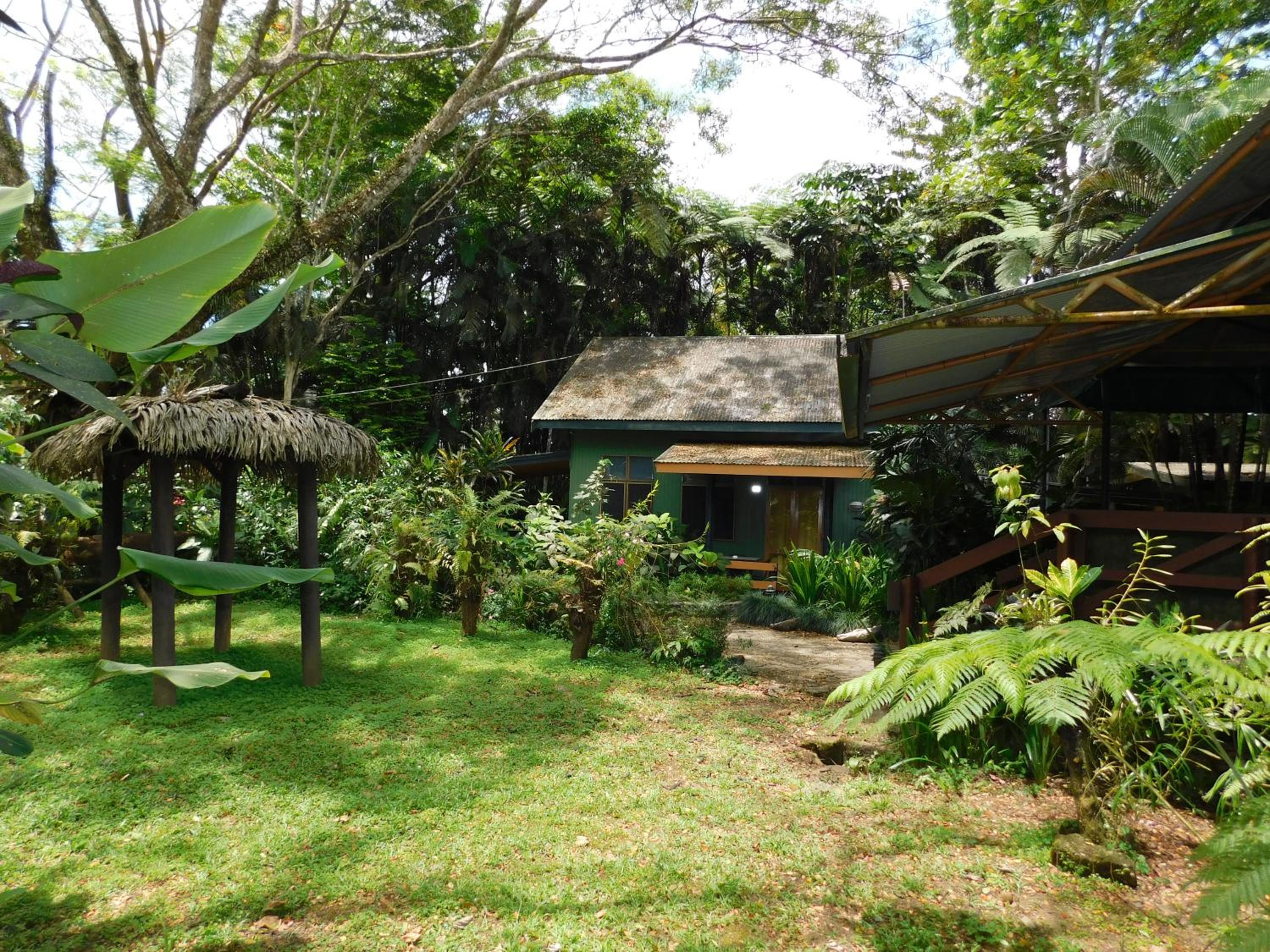 Rainforest Eco Lodge