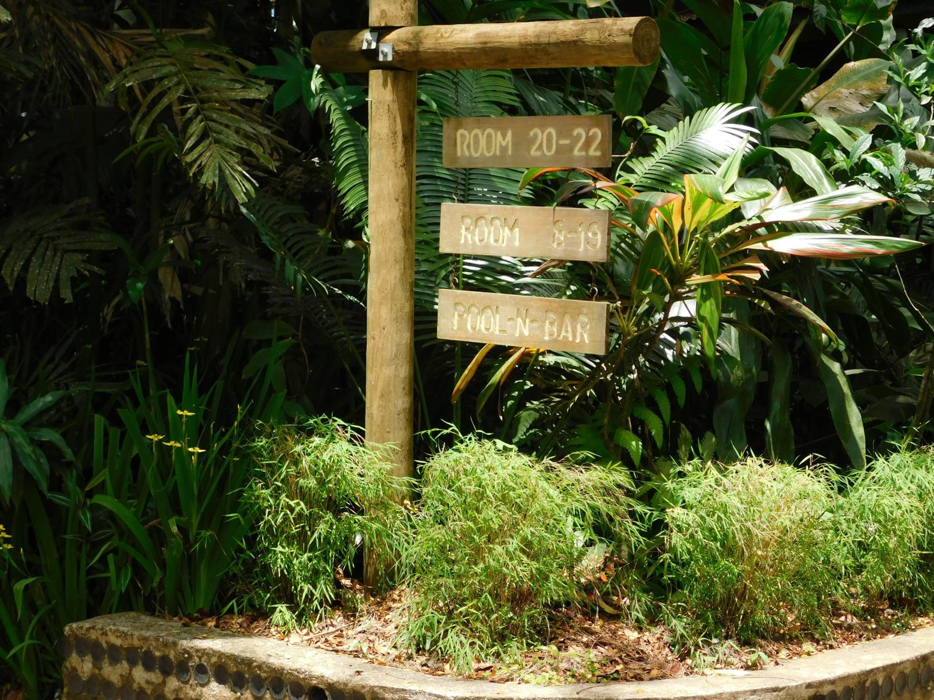 Rainforest Eco Lodge