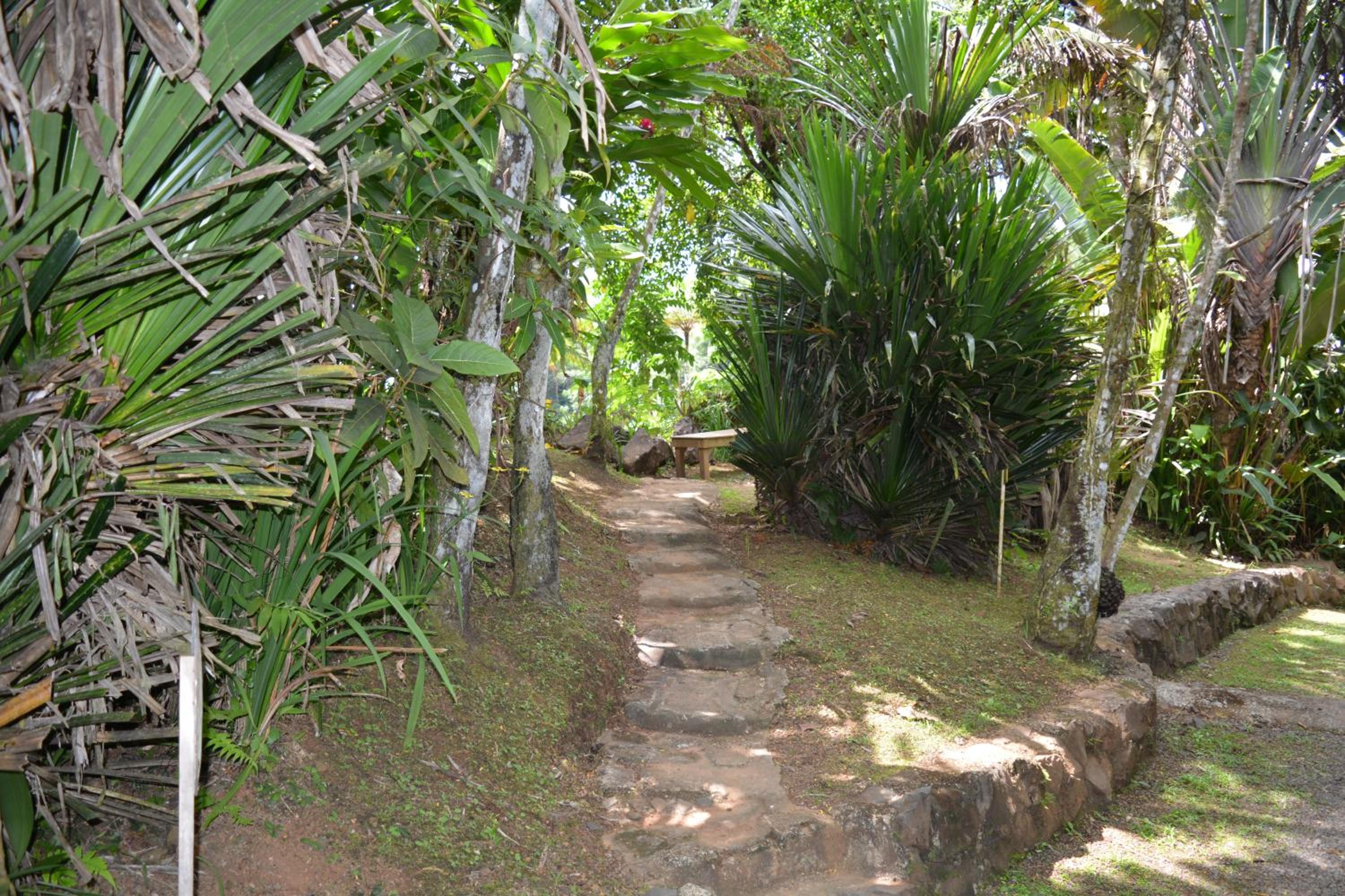 Rainforest Eco Lodge