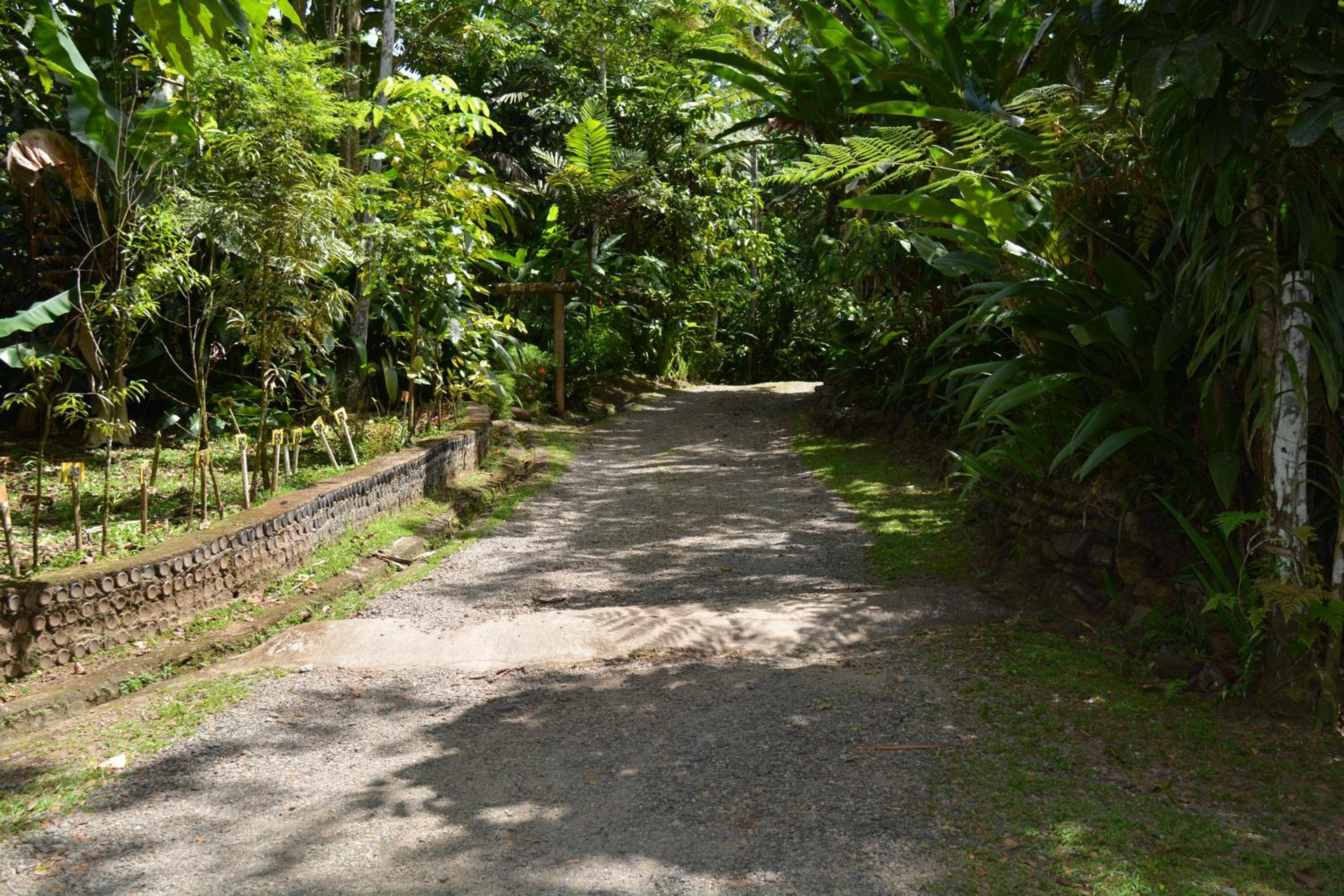 Rainforest Eco Lodge