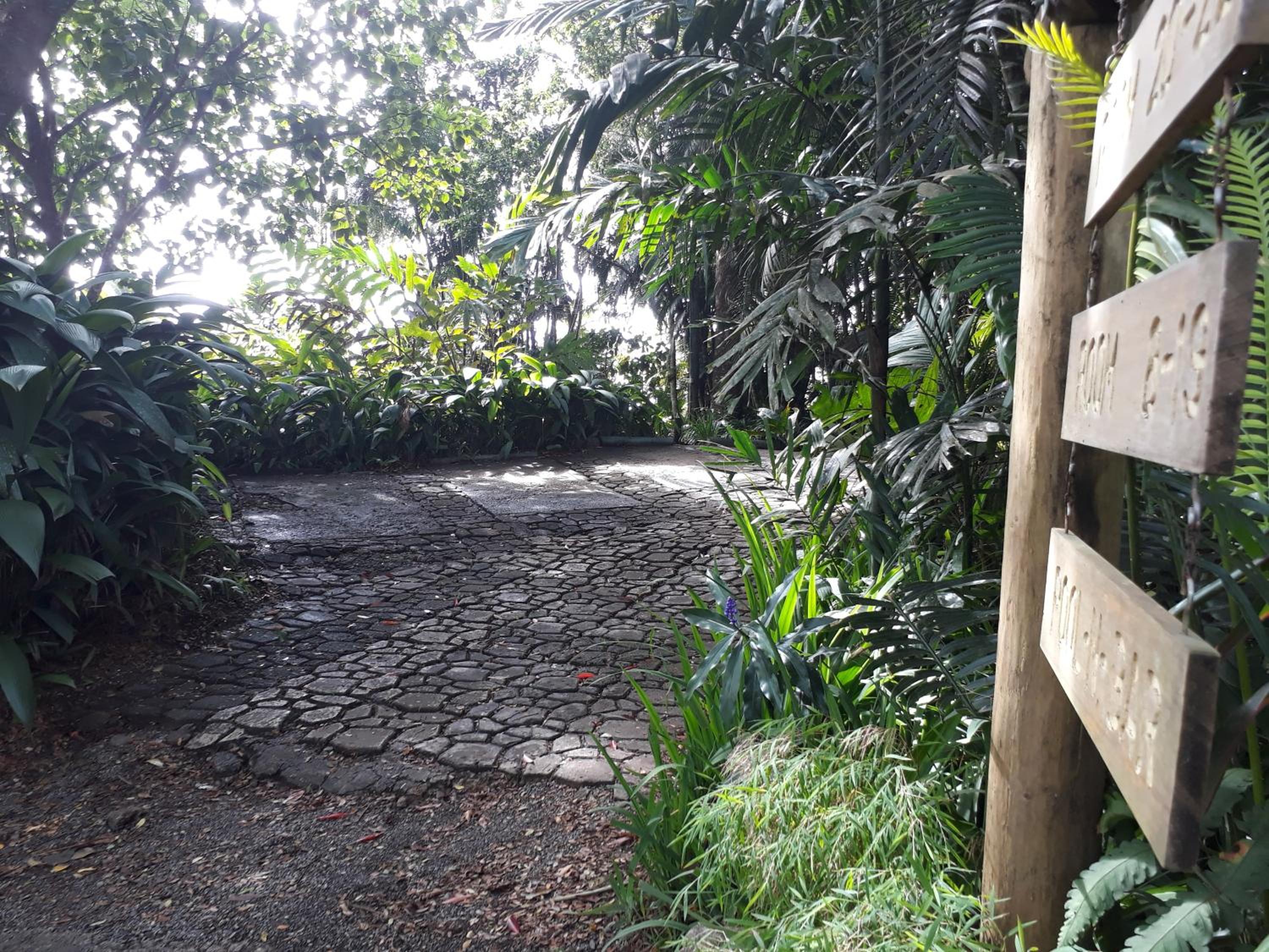 Rainforest Eco Lodge