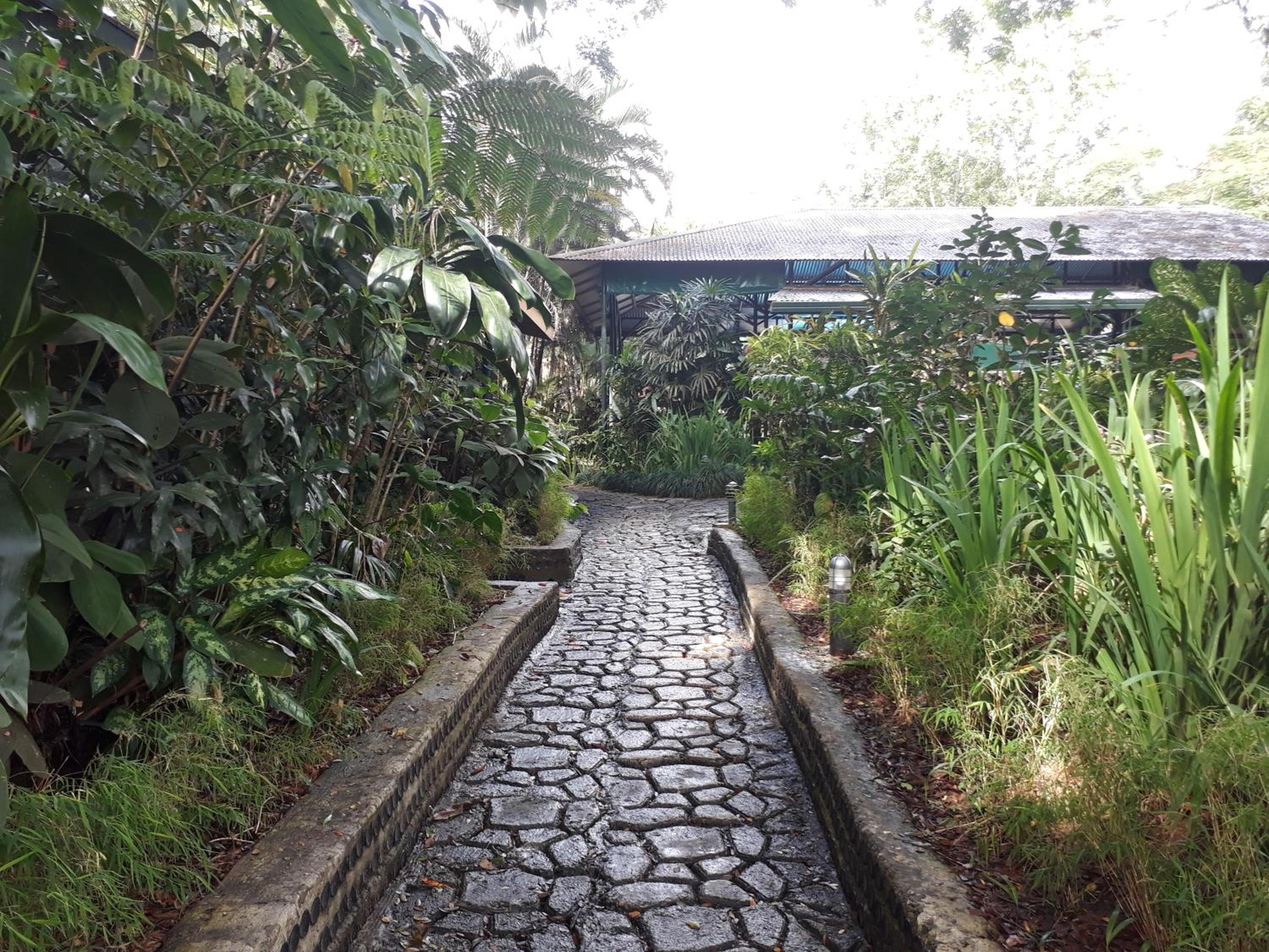 Rainforest Eco Lodge
