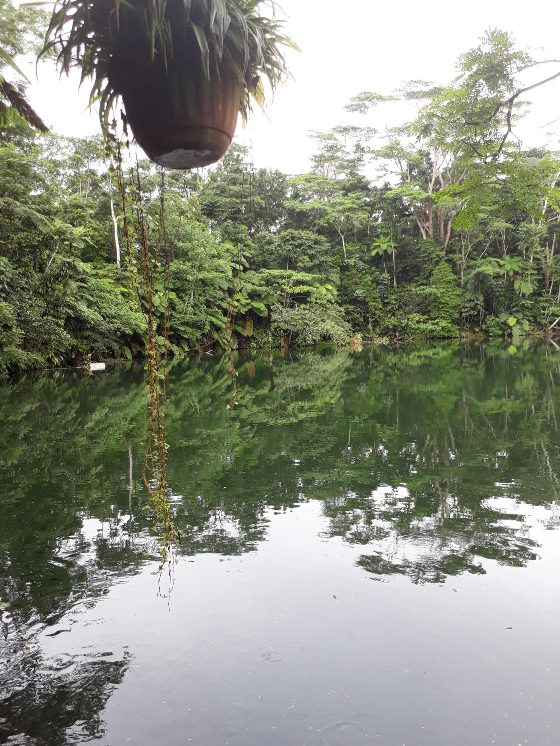 Rainforest Eco Lodge