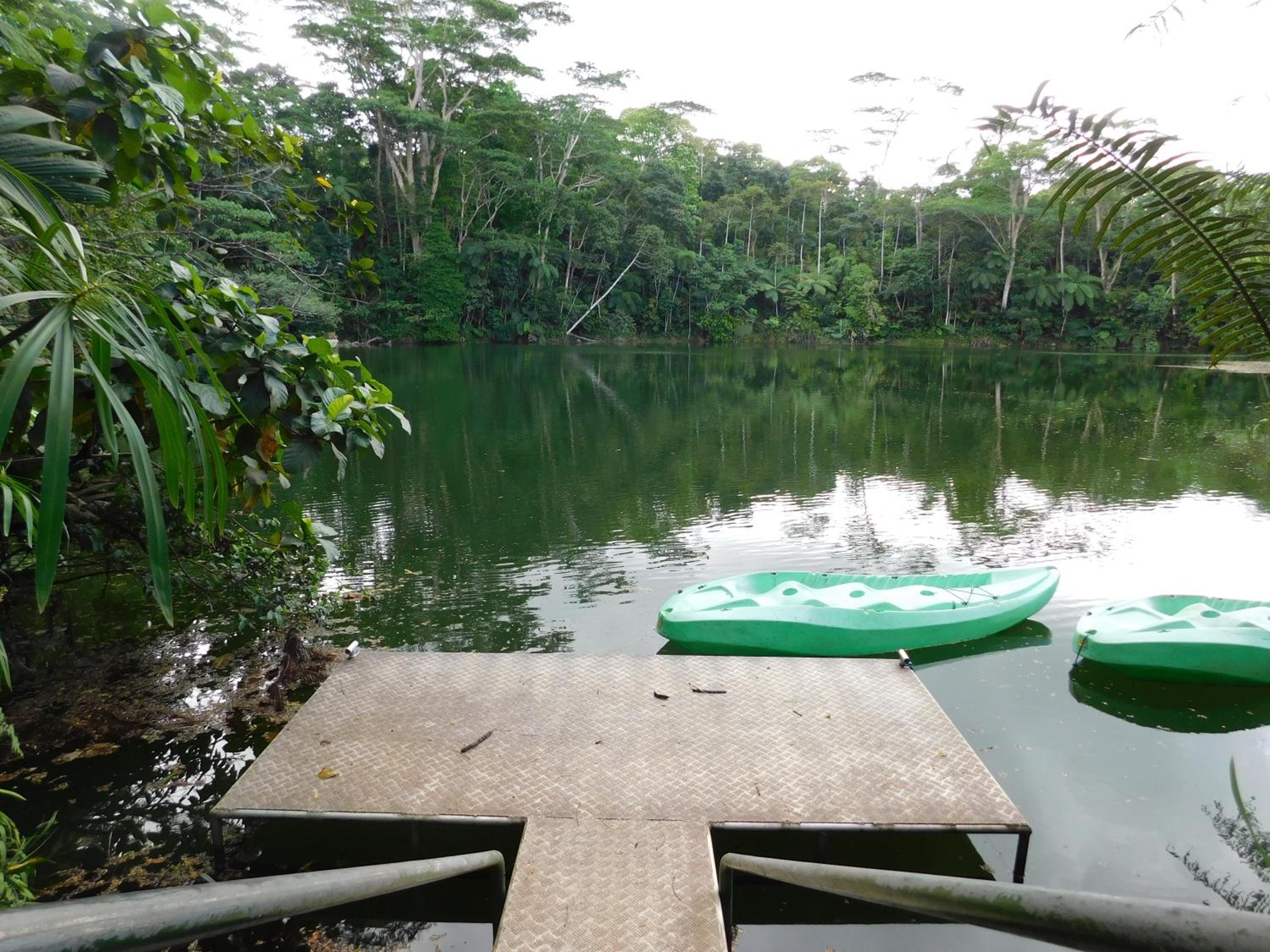Rainforest Eco Lodge