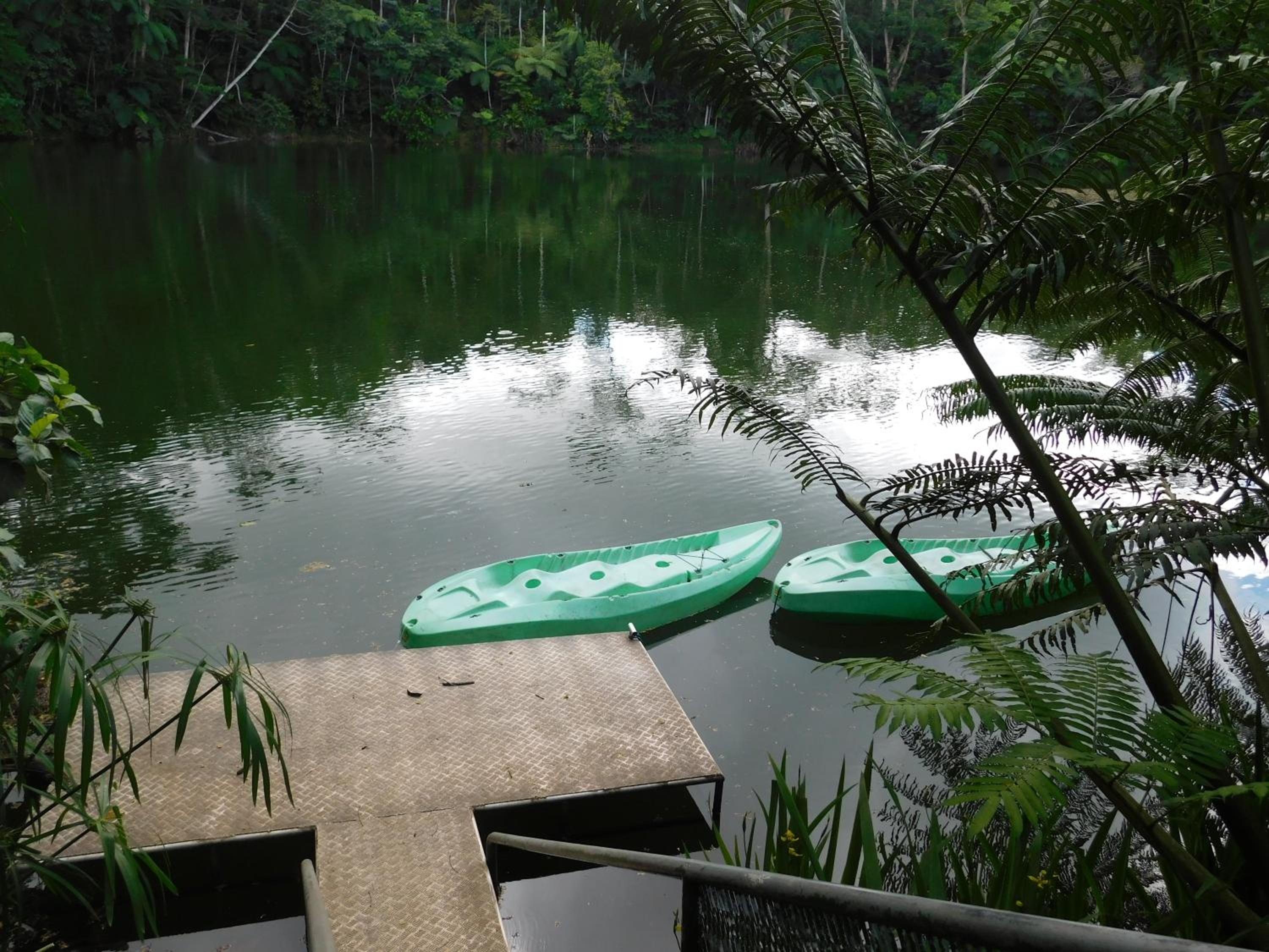 Rainforest Eco Lodge