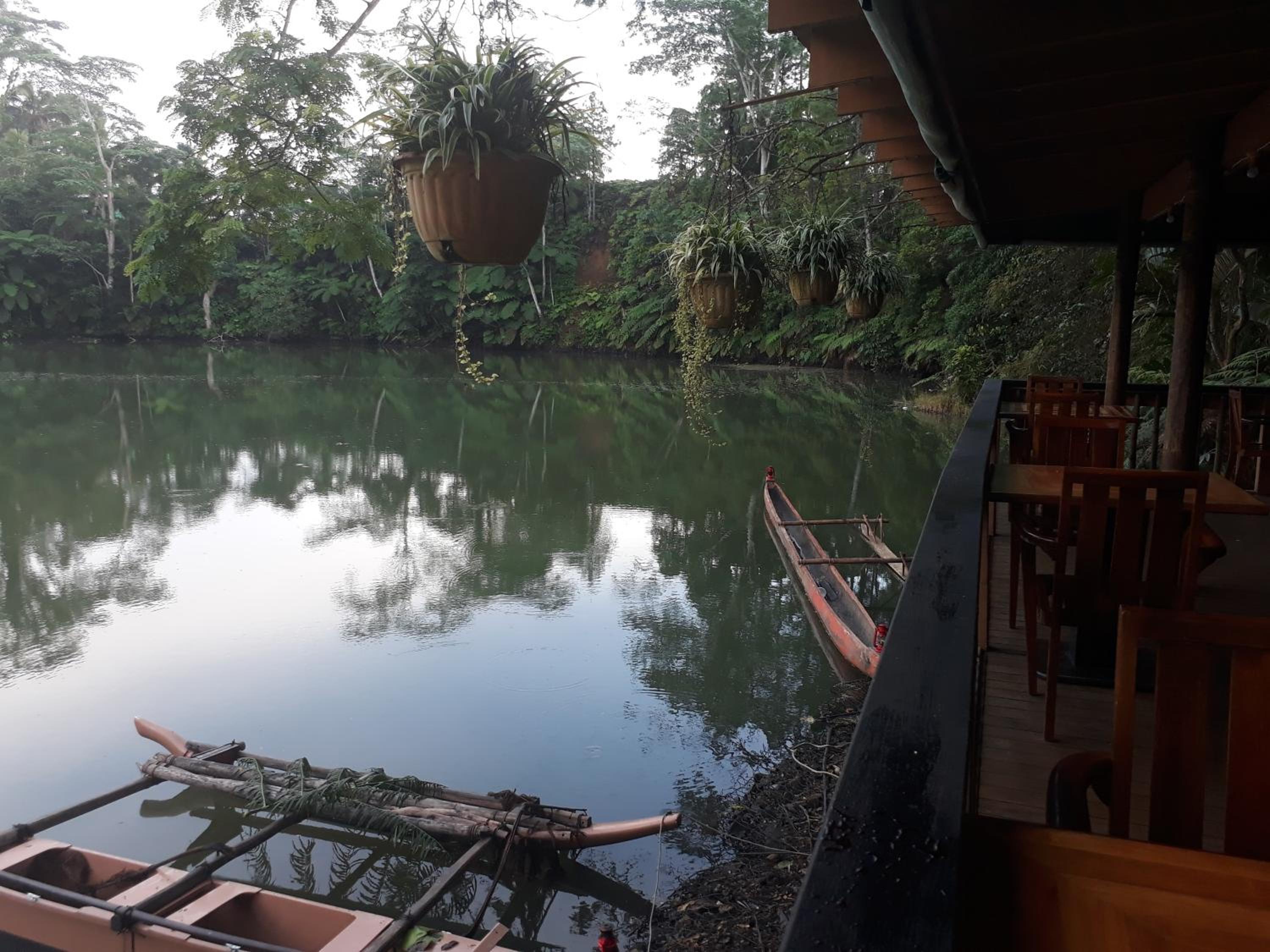 Rainforest Eco Lodge