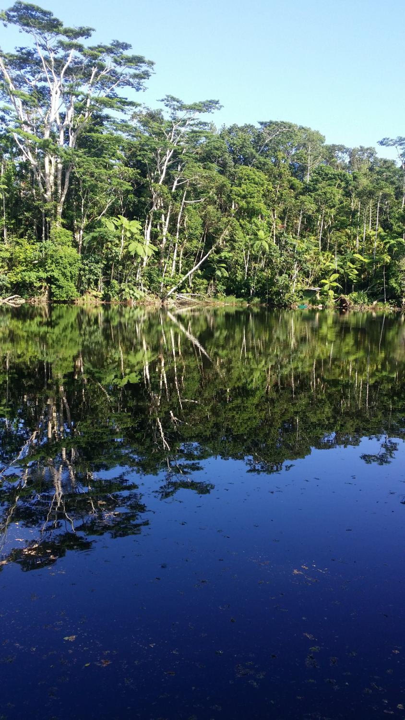 Rainforest Eco Lodge