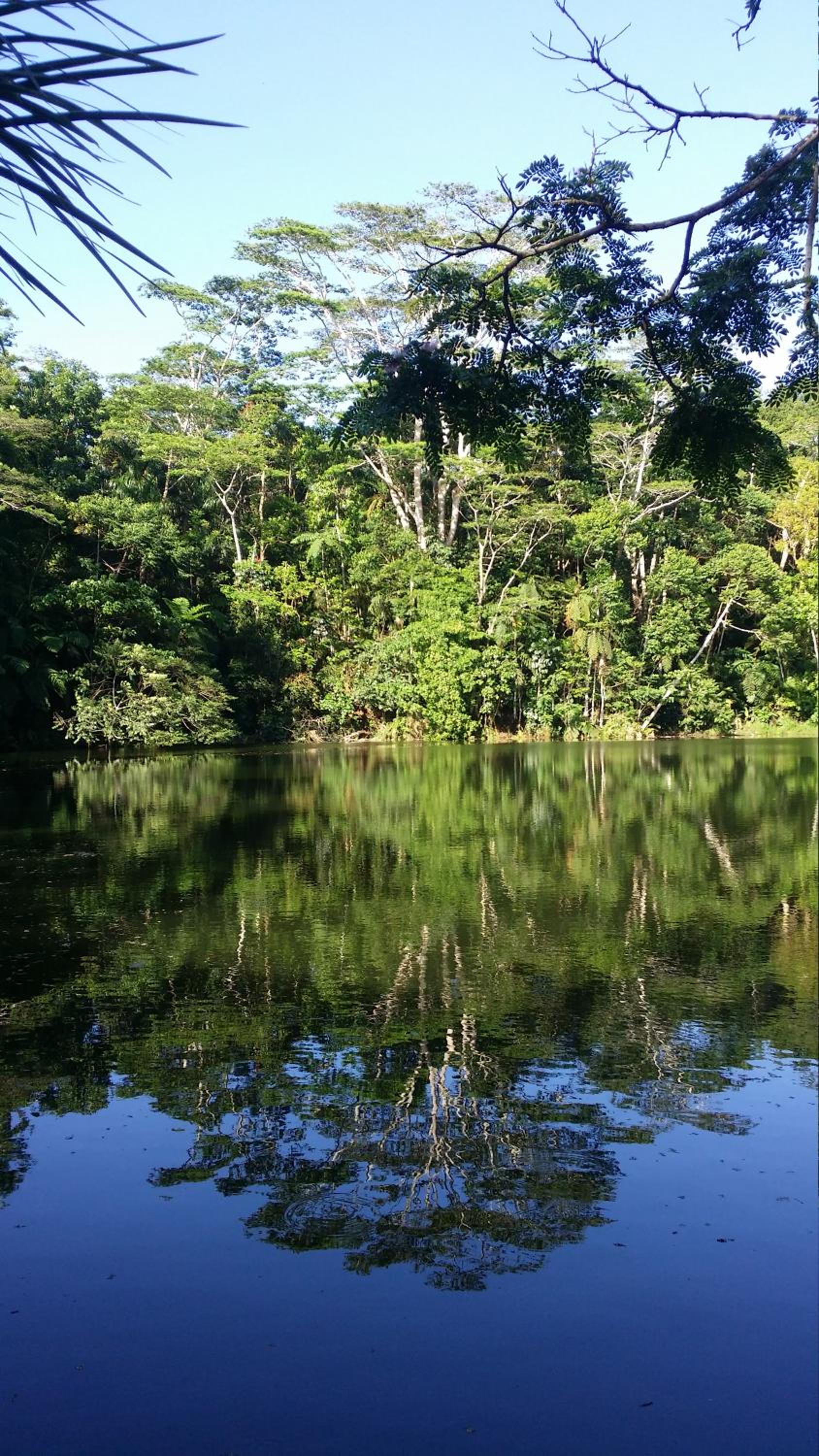 Rainforest Eco Lodge