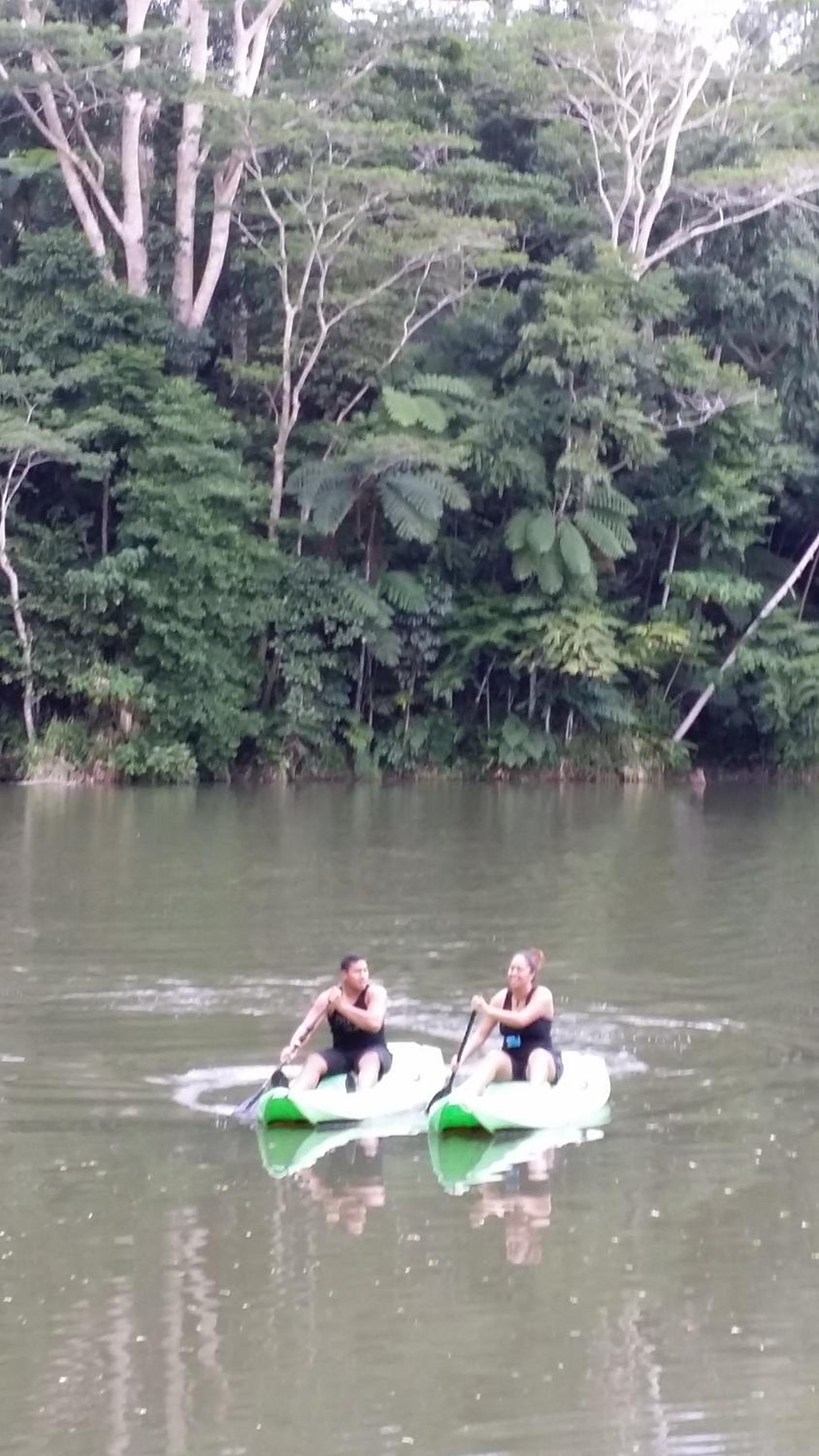 Rainforest Eco Lodge