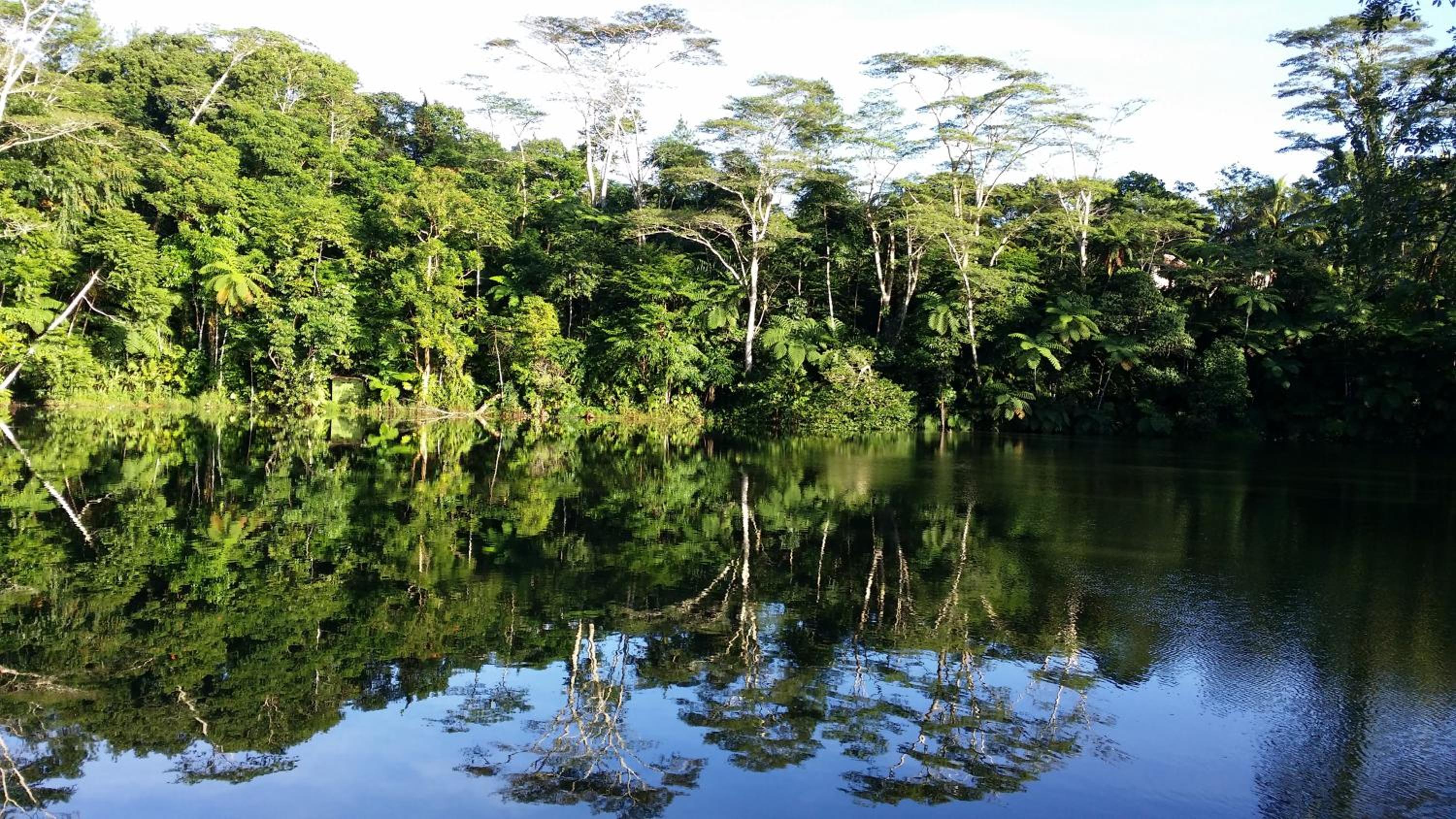 Rainforest Eco Lodge