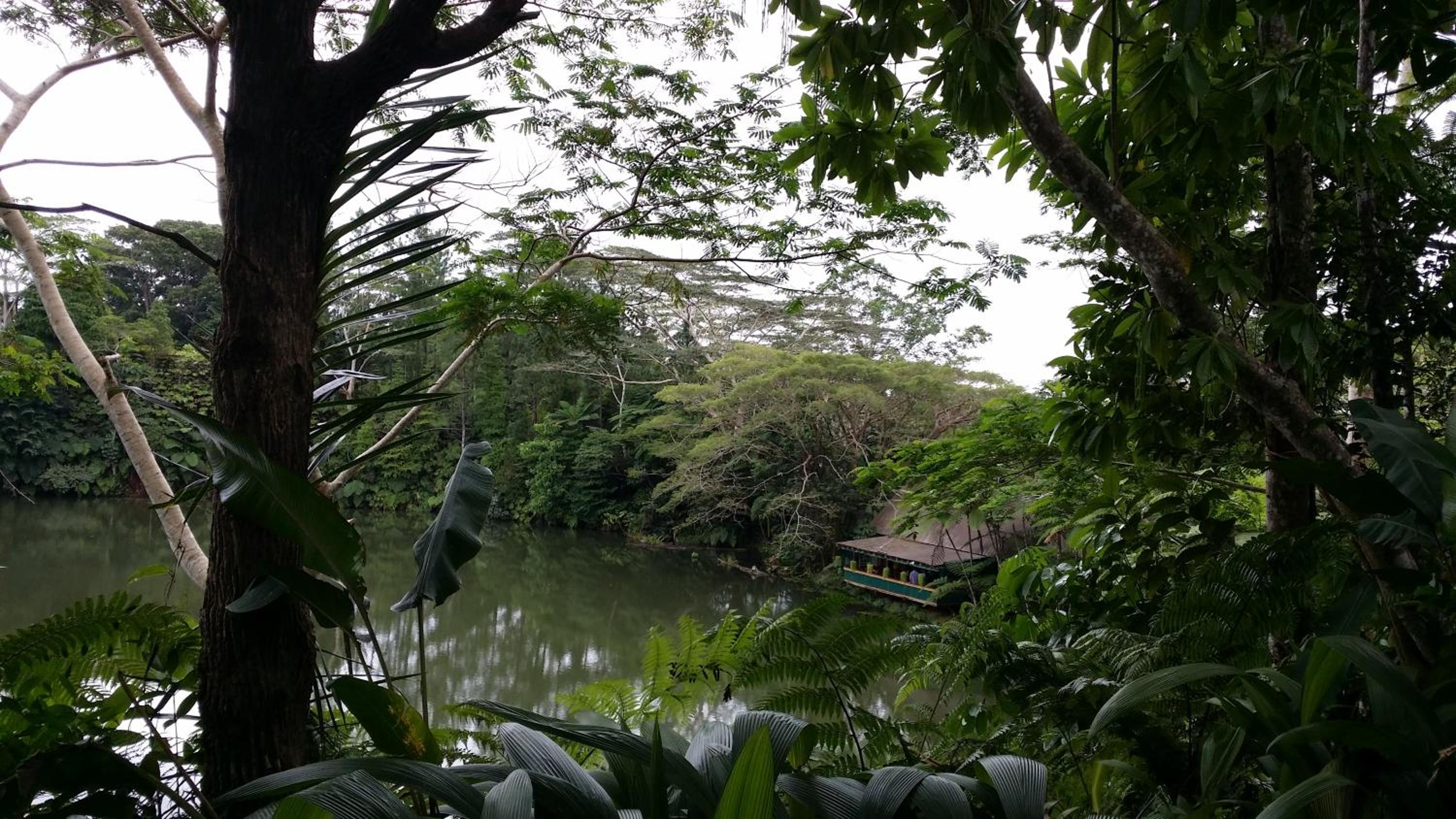 Rainforest Eco Lodge