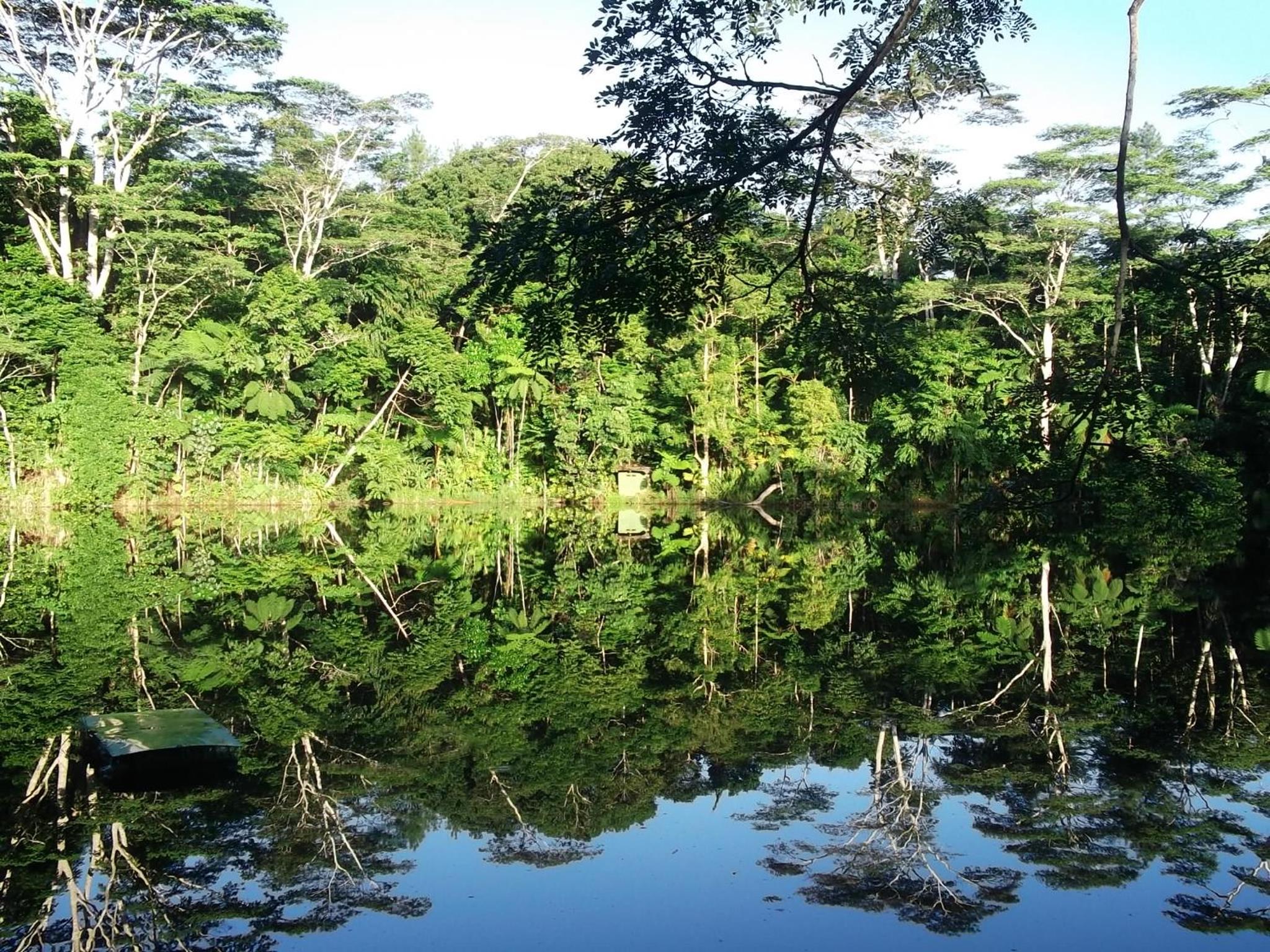 Rainforest Eco Lodge