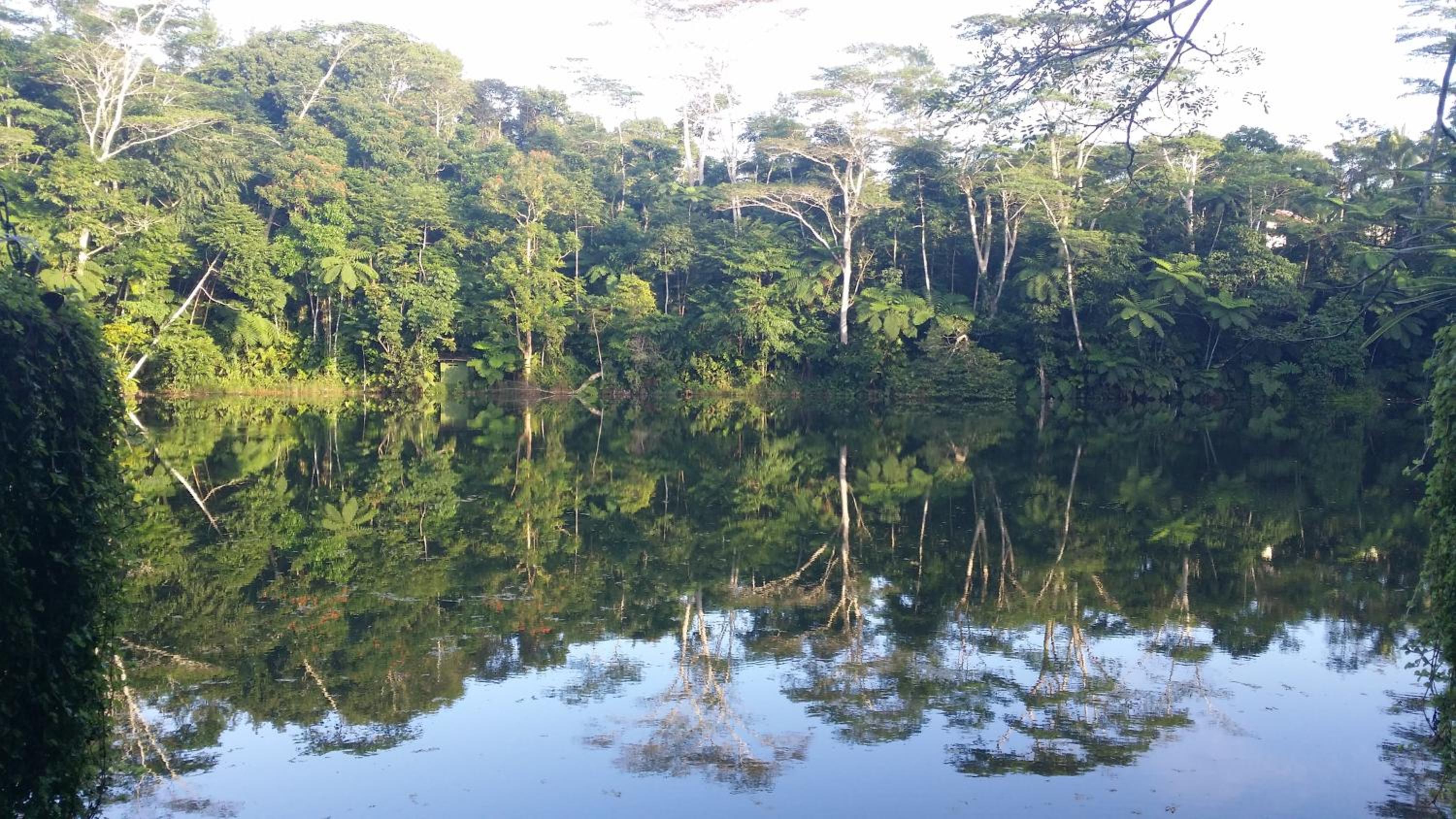 Rainforest Eco Lodge
