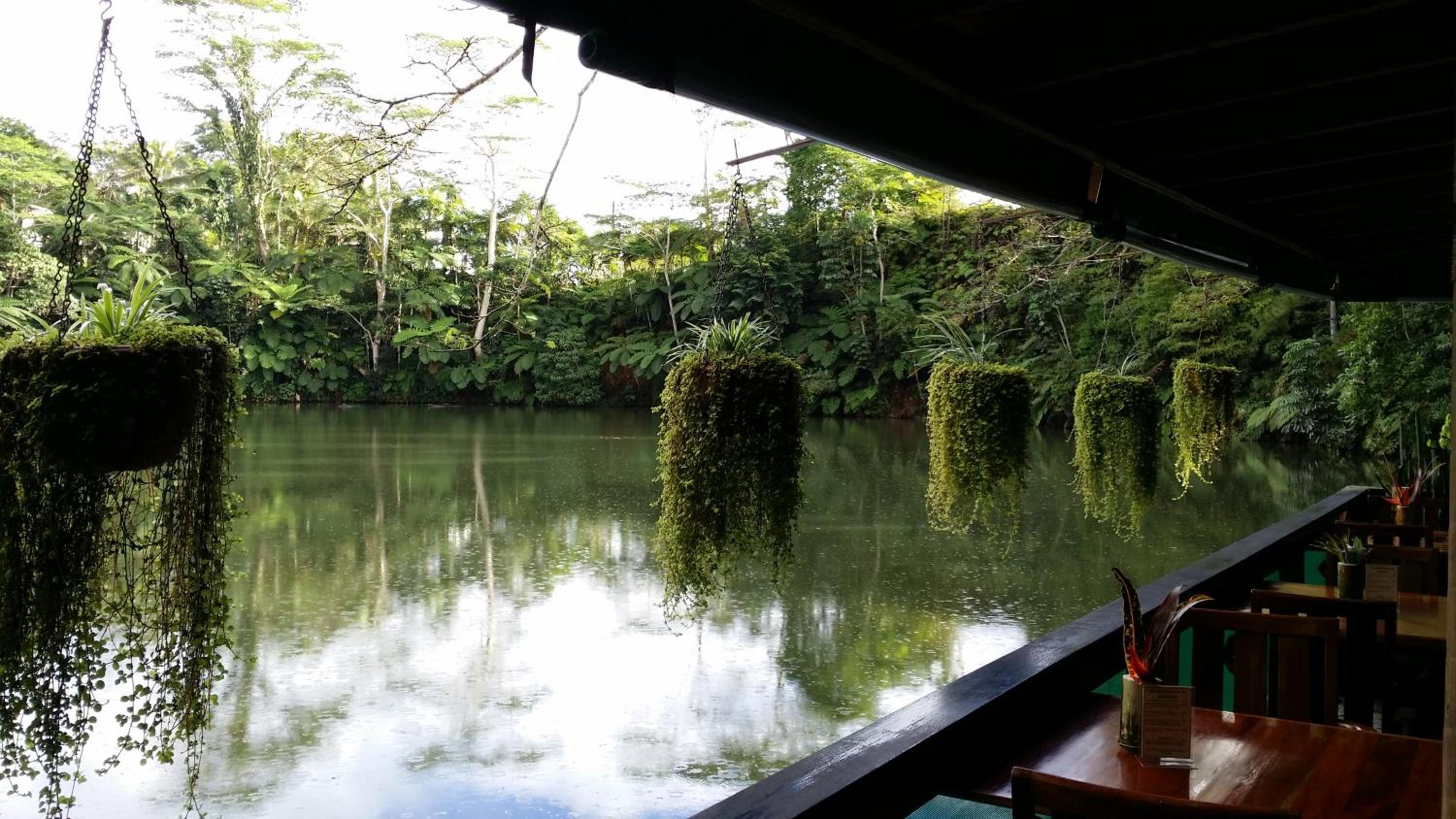 Rainforest Eco Lodge