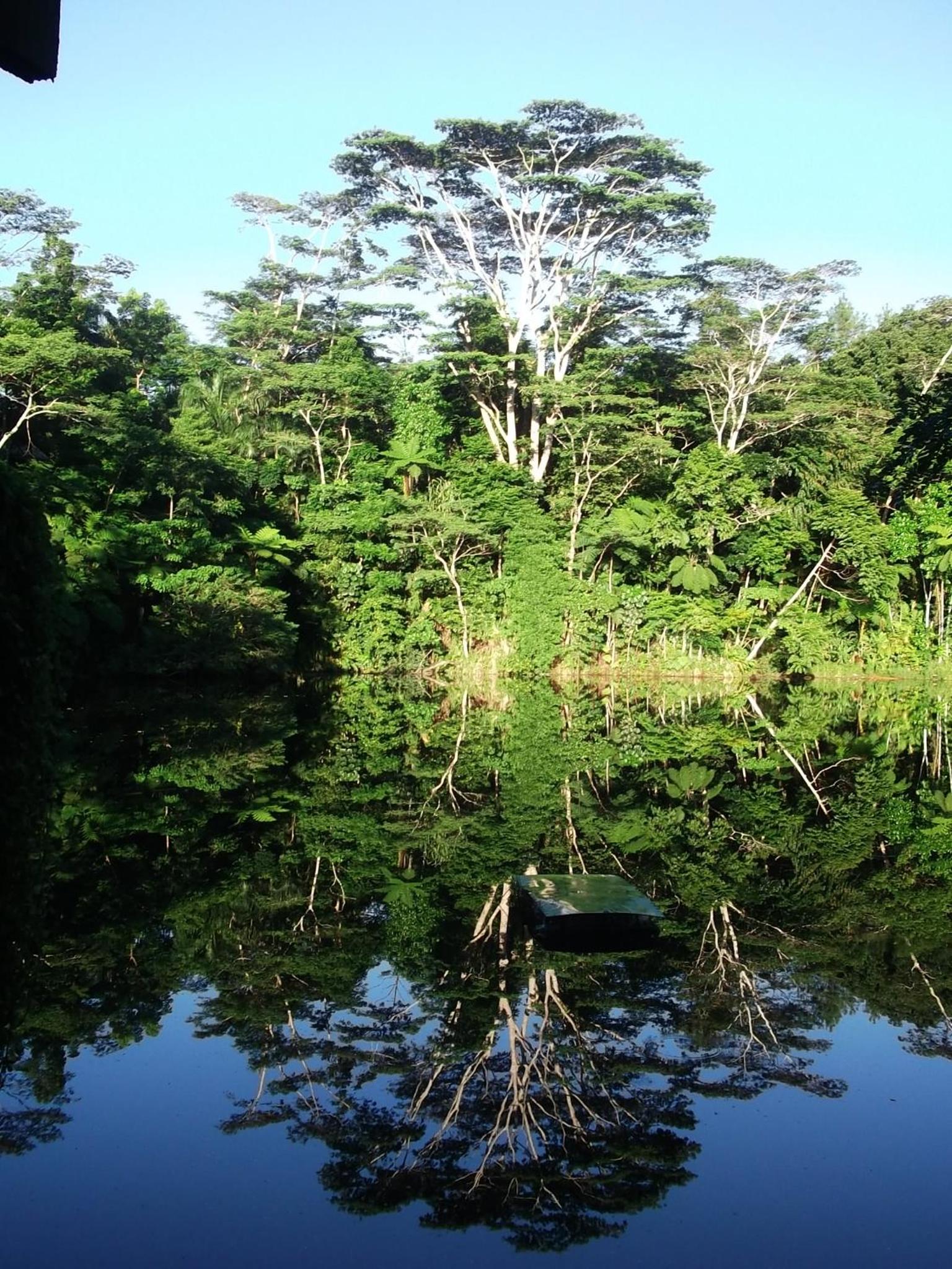 Rainforest Eco Lodge